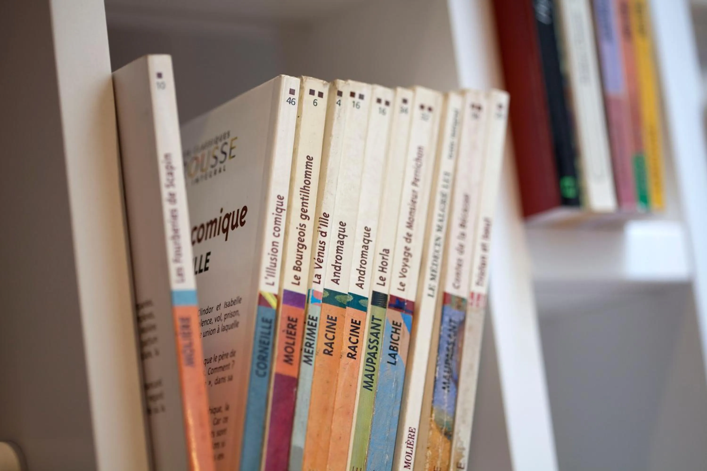 Decorative detail in Mercure Paris Notre Dame Saint Germain des Prés