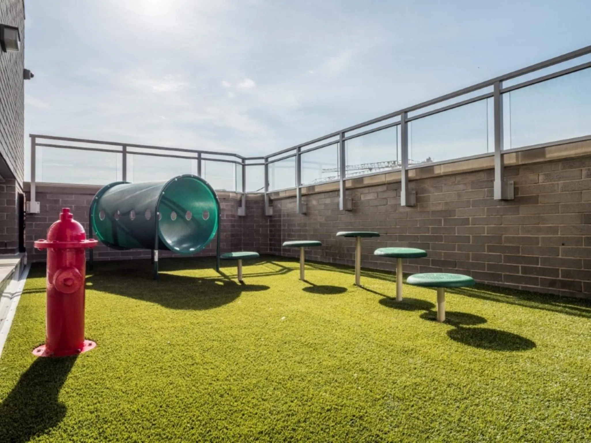 Animals in Bluebird Suites Near Chevy Chase