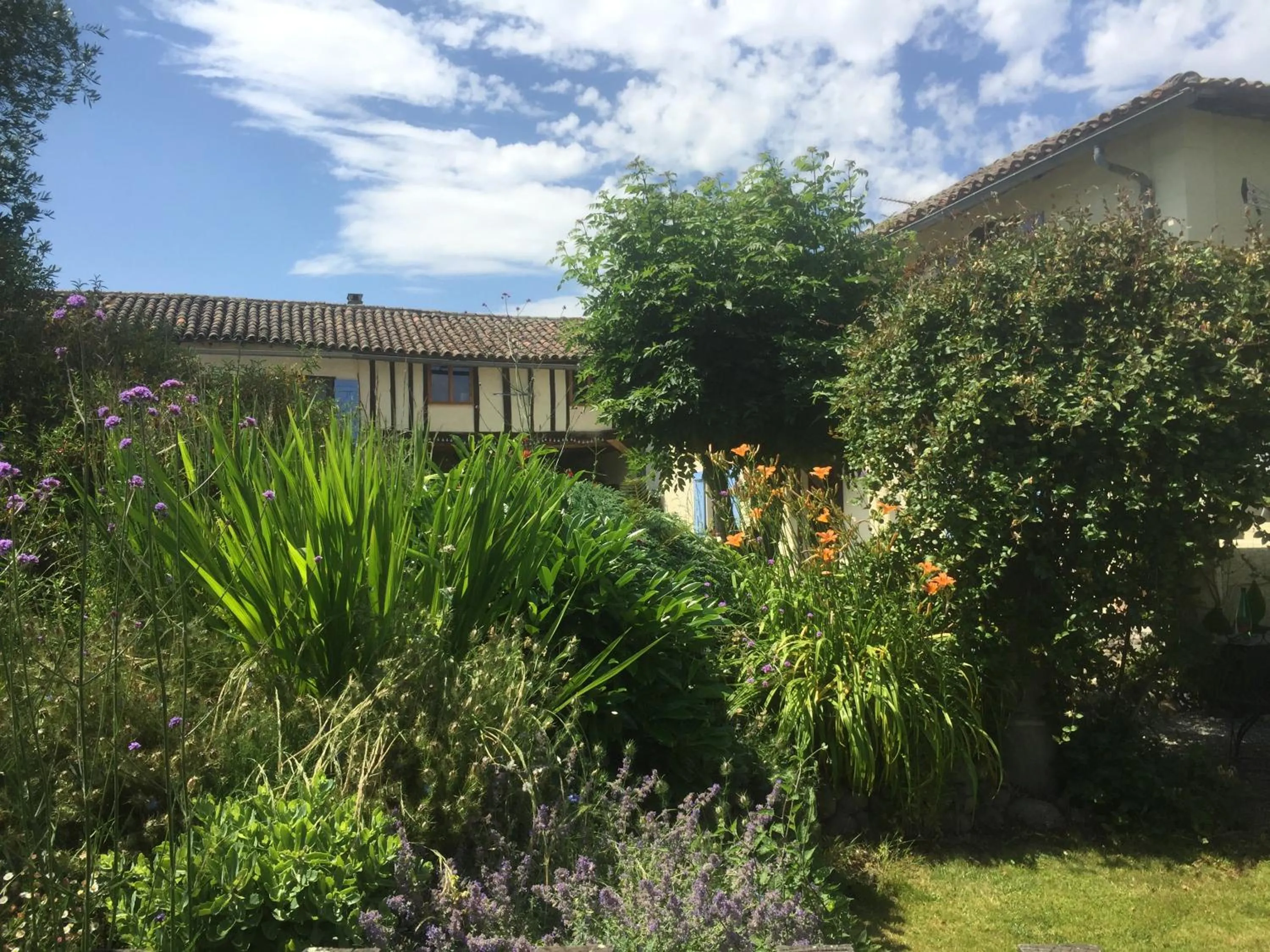 Garden in Michouat Chambre D'Hotes