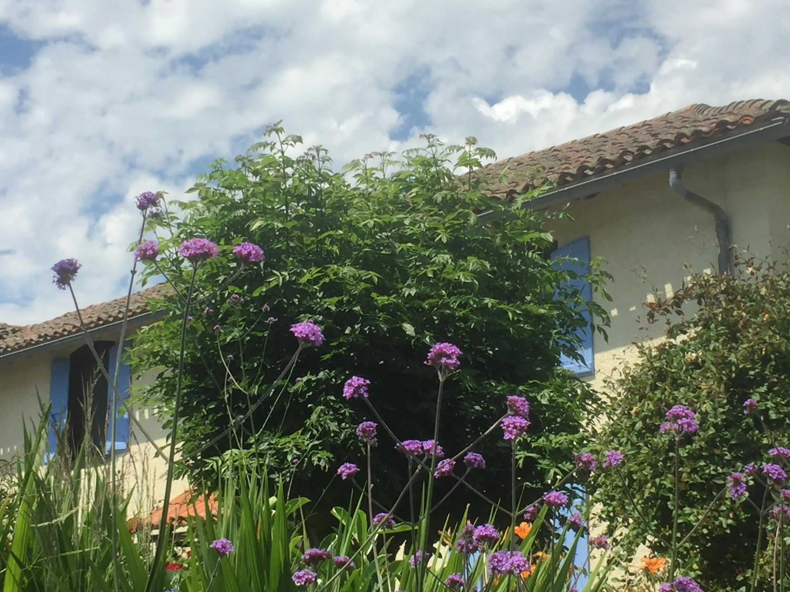 Garden in Michouat Chambre D'Hotes