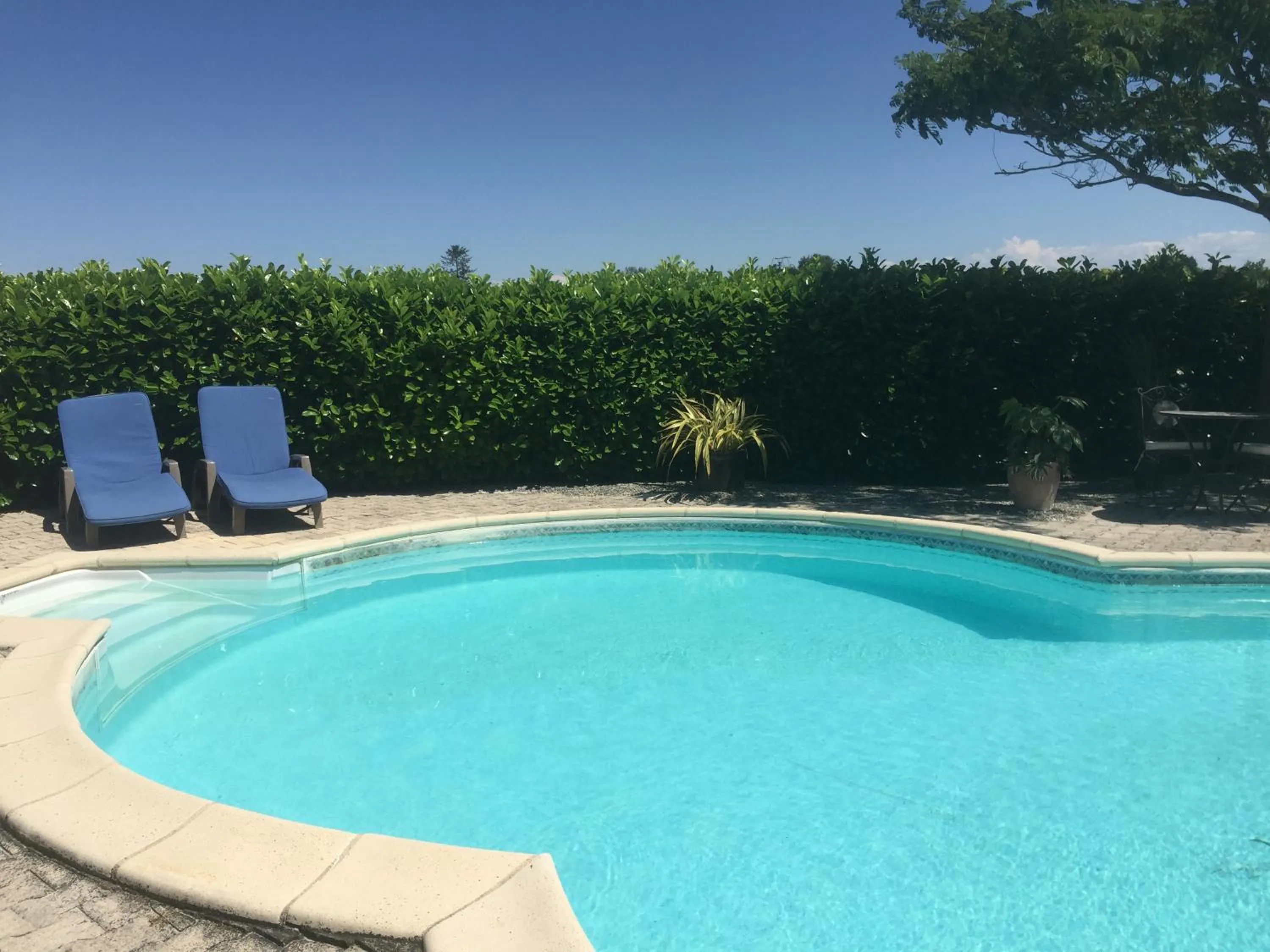 Swimming pool in Michouat Chambre D'Hotes