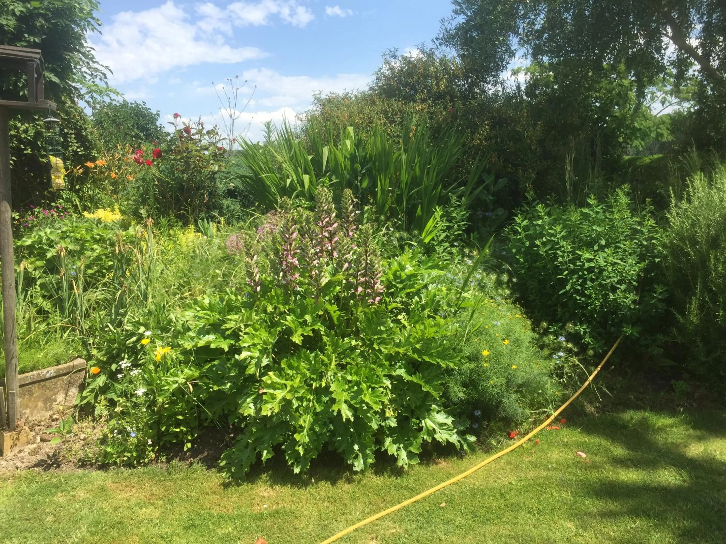 Garden view in Michouat Chambre D'Hotes