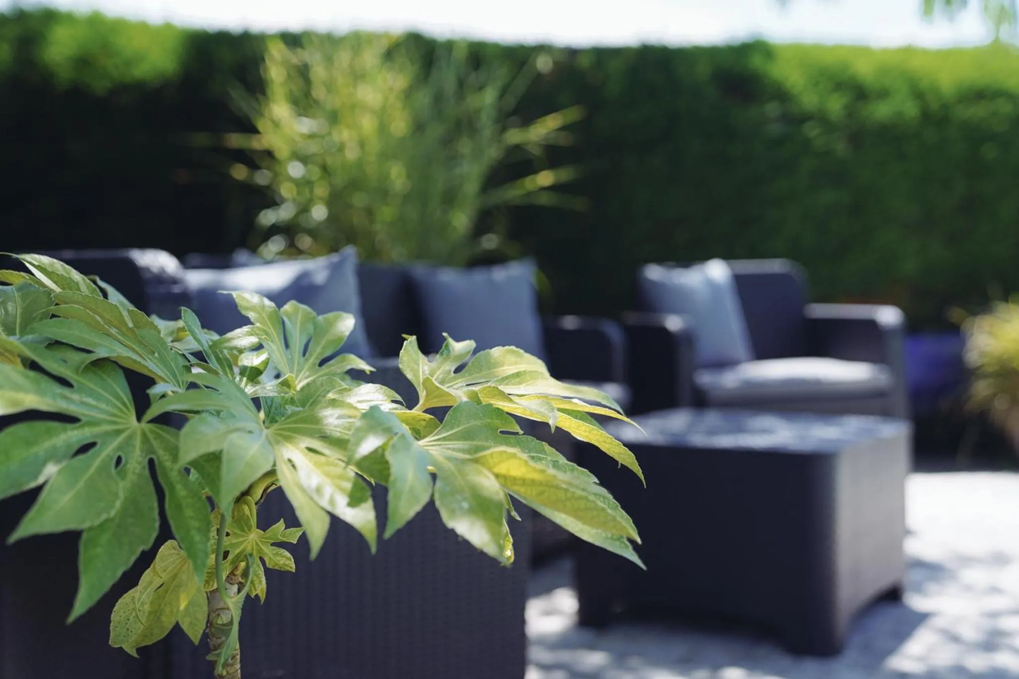 Swimming pool in Michouat Chambre D'Hotes