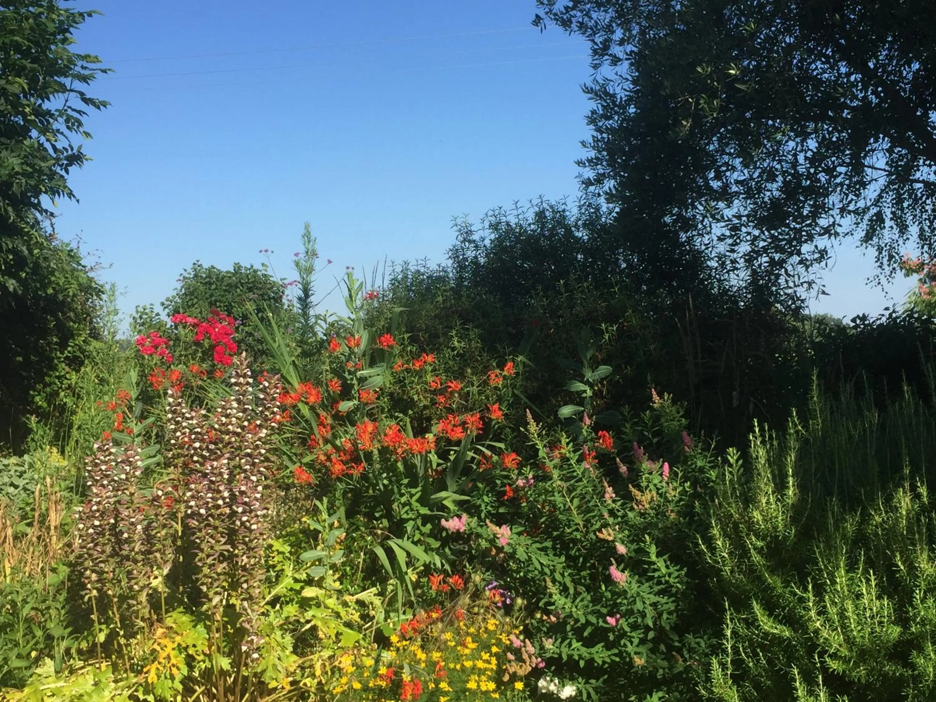 Garden in Michouat Chambre D'Hotes