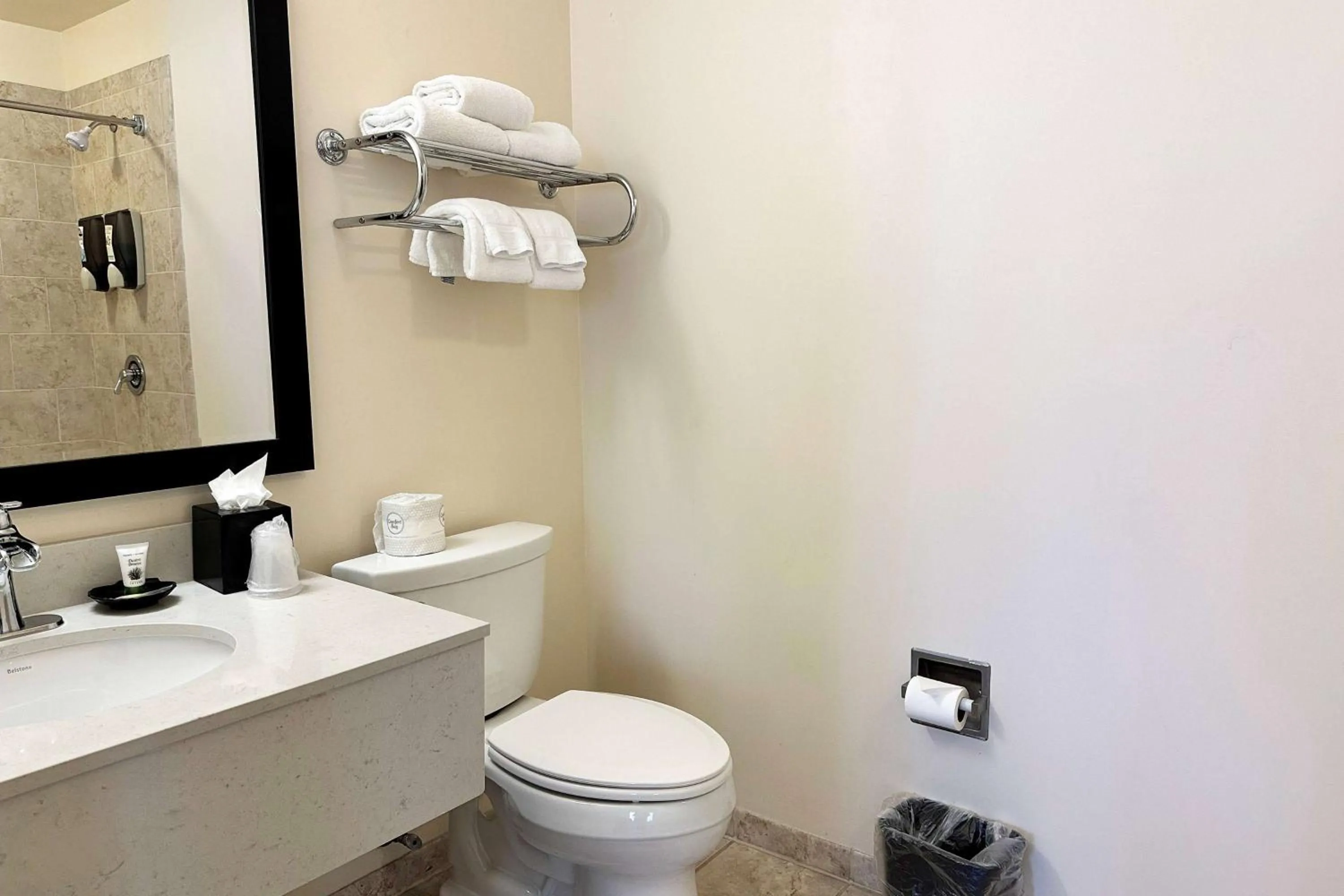 TV and multimedia in Chicago South Loop Hotel