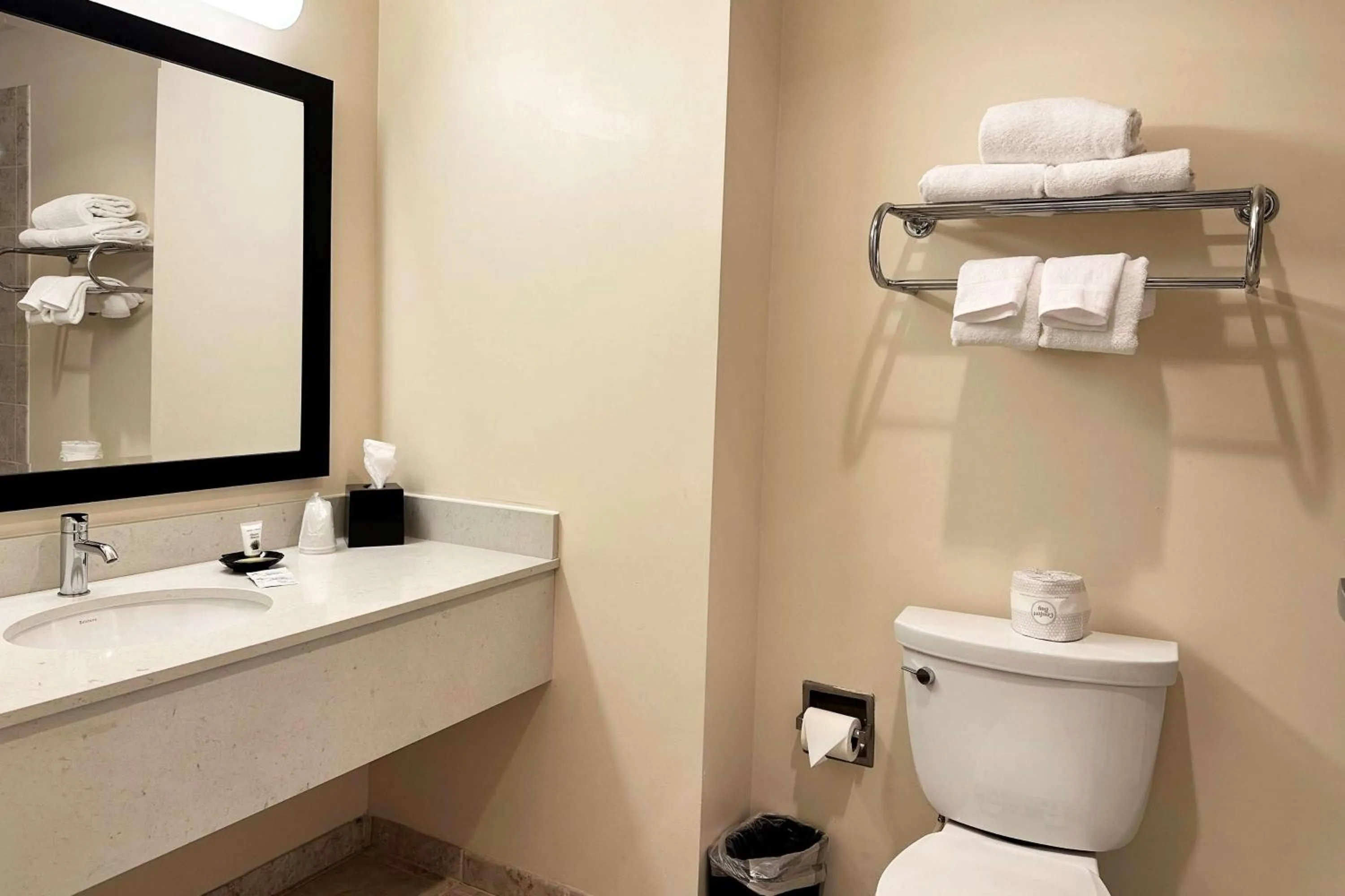 TV and multimedia in Chicago South Loop Hotel