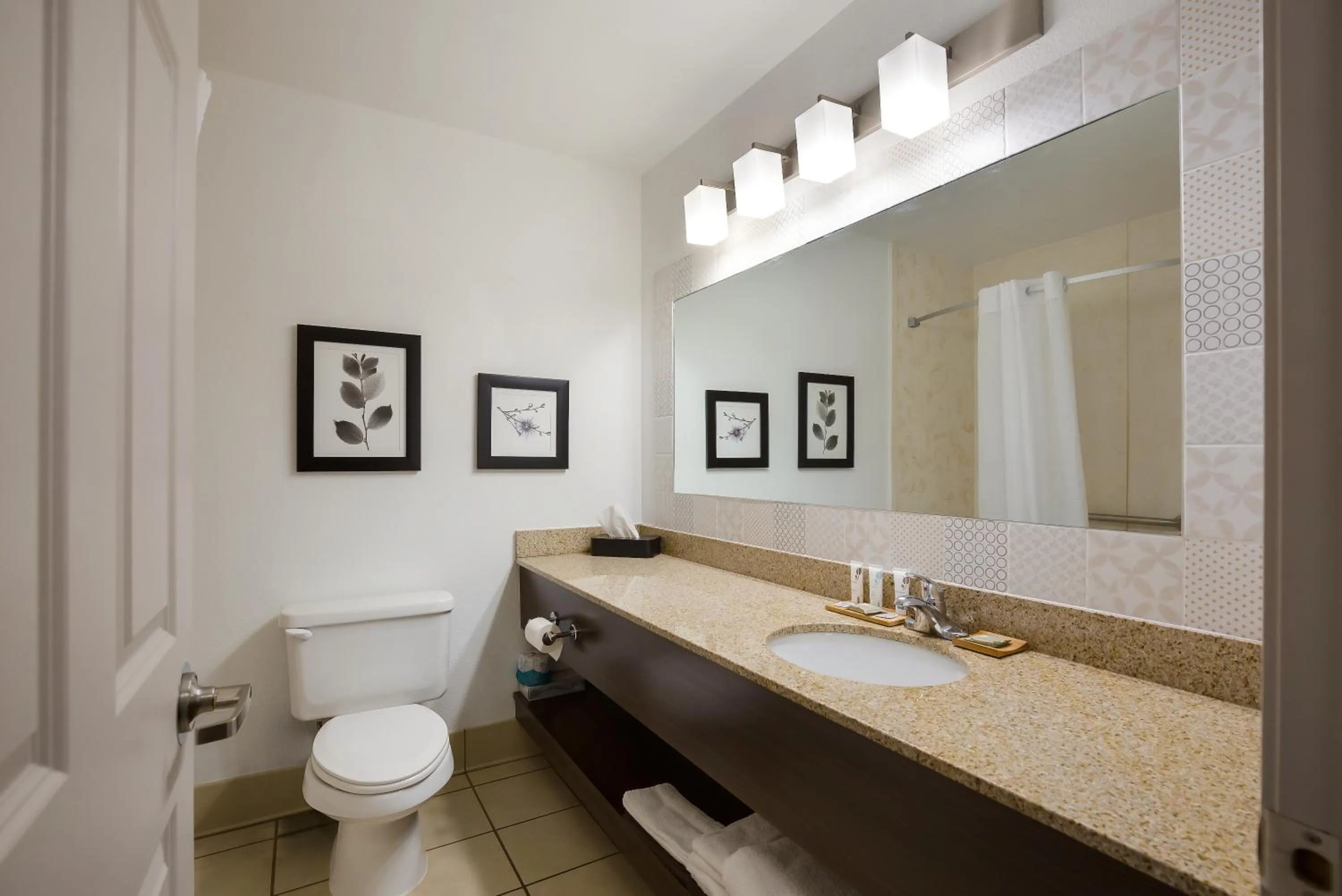 Toilet in Country Inn & Suites by Radisson, Marion, IL