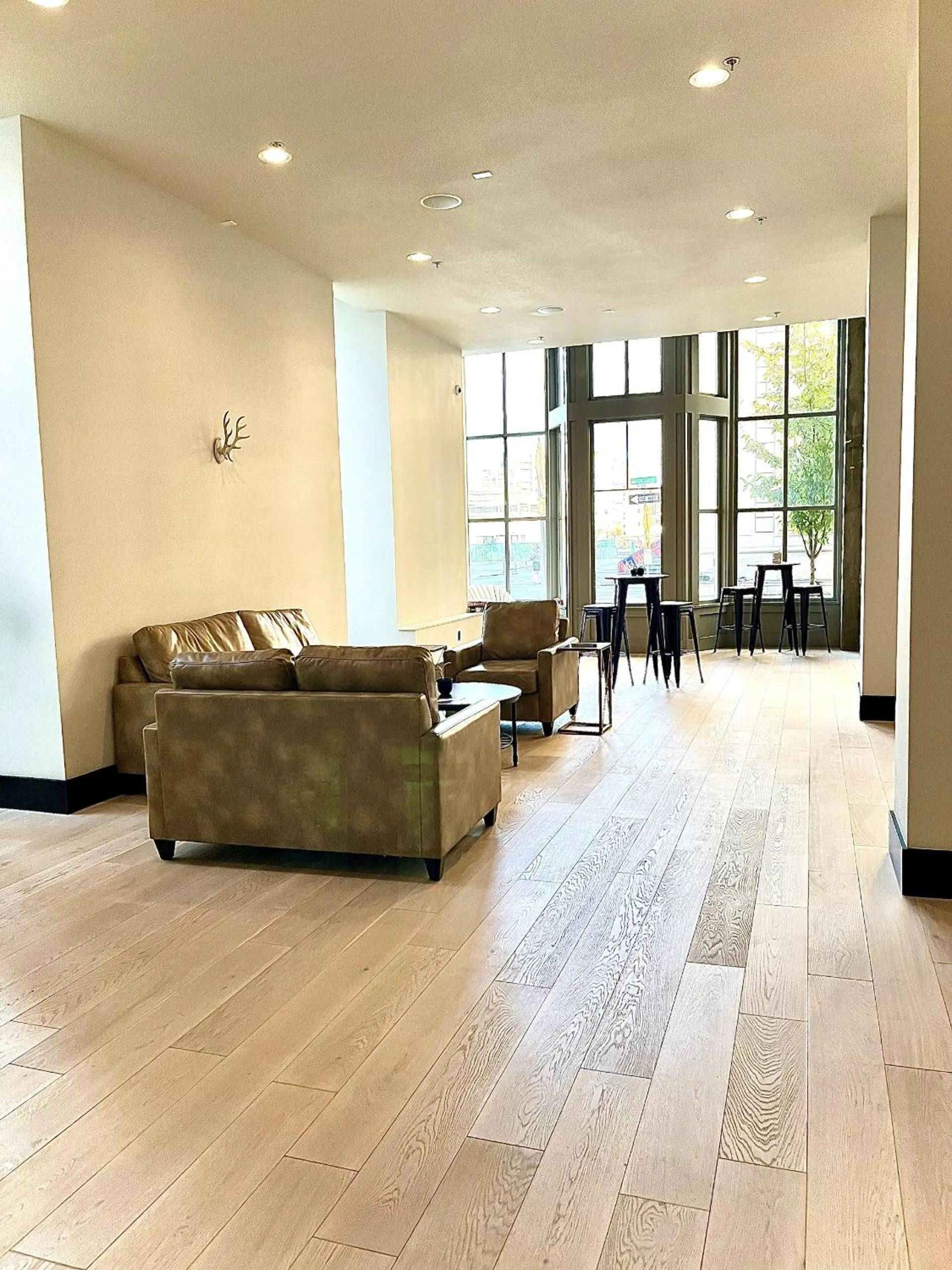 Communal lounge/ TV room in Harlow Hotel