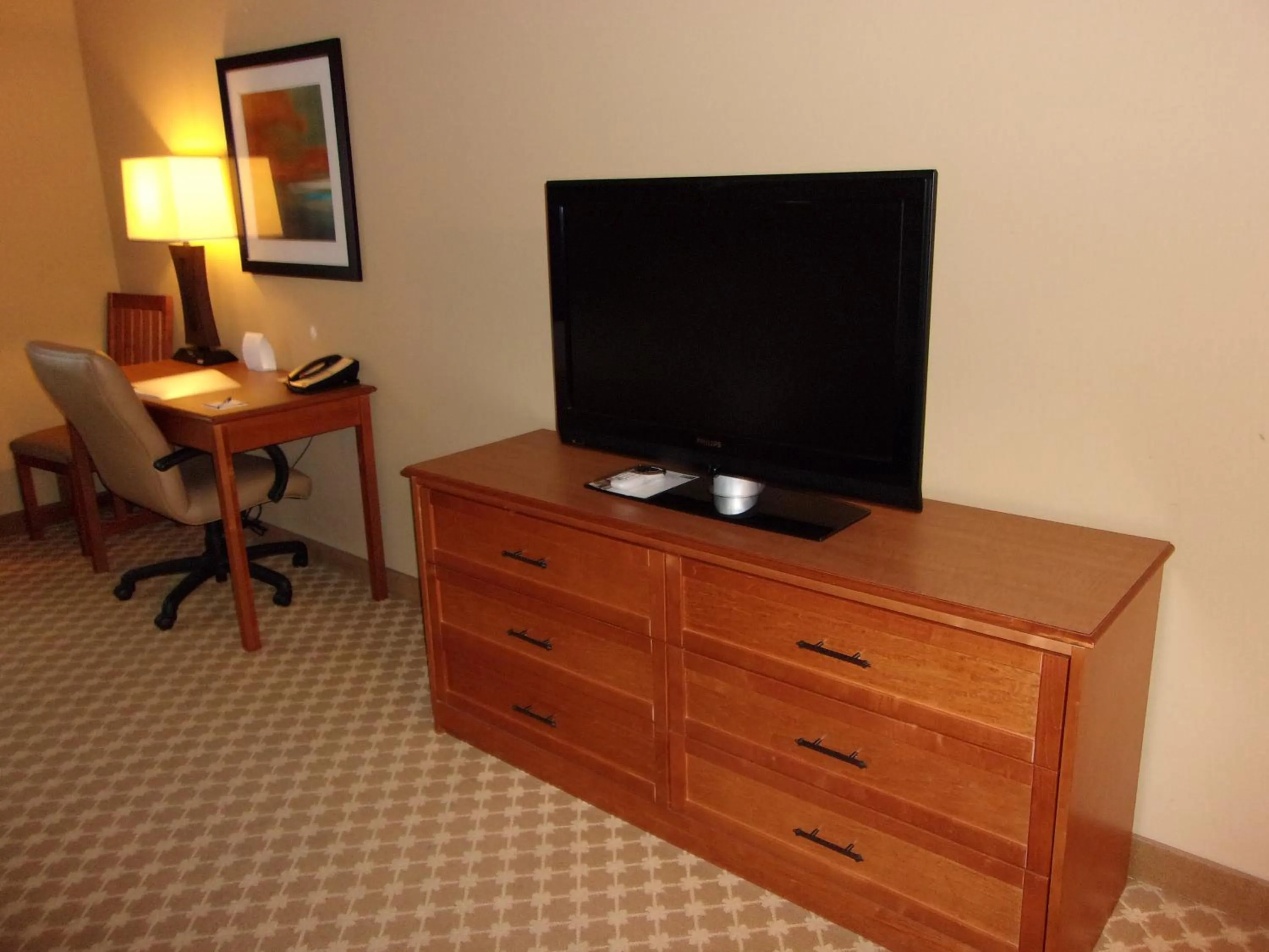 TV and multimedia in Holiday Inn Express Hotel & Suites Chicago West Roselle by IHG