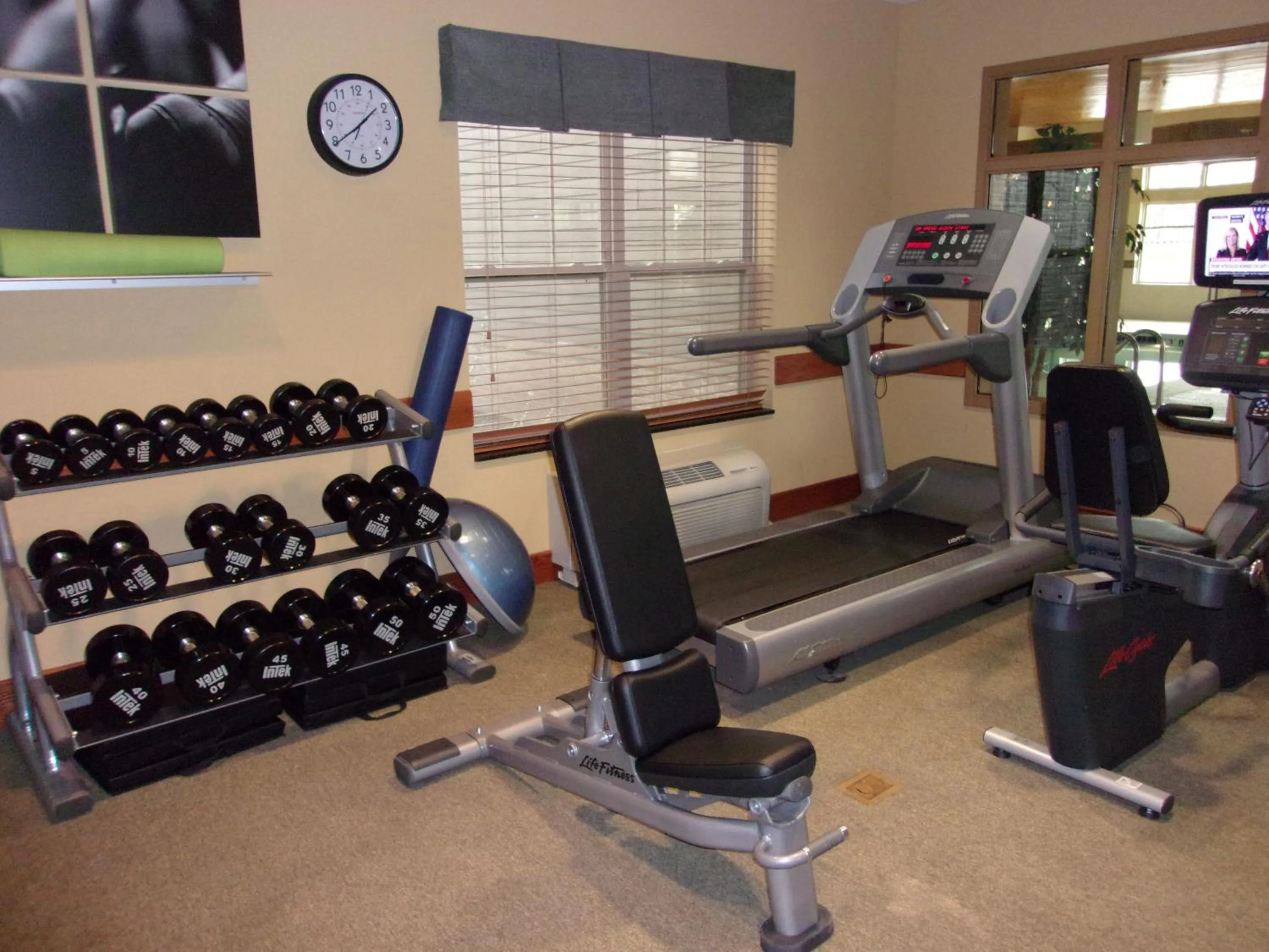 Fitness centre/facilities in Holiday Inn Express Hotel & Suites Chicago West Roselle by IHG