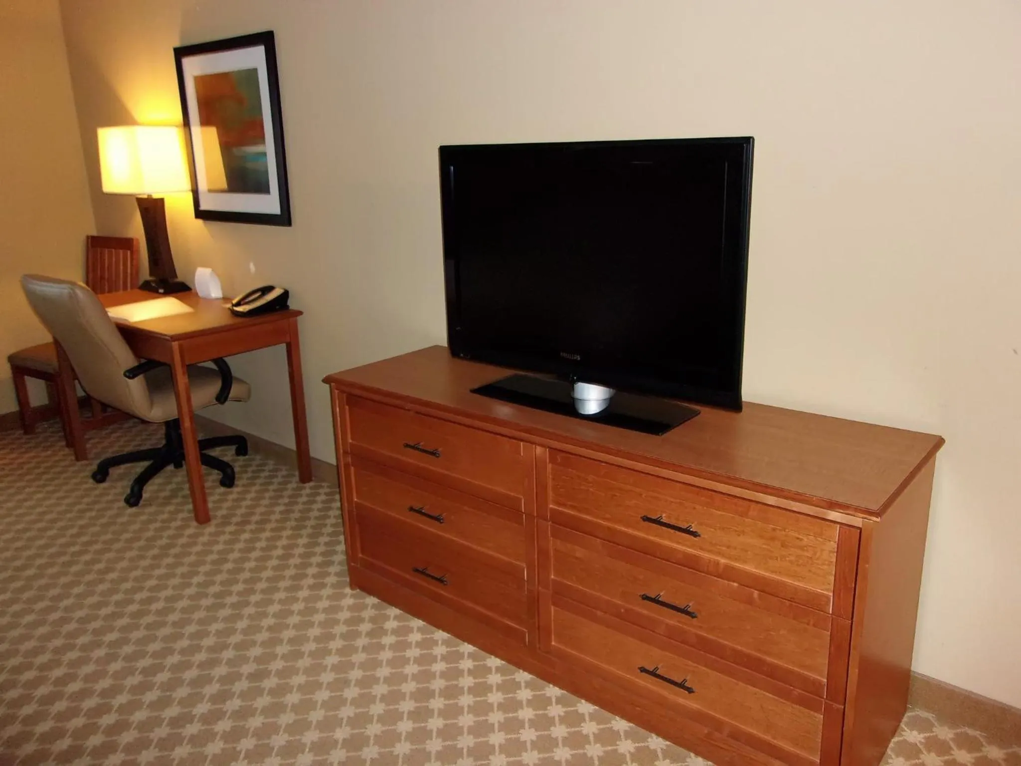 Photo of the whole room in Holiday Inn Express Hotel & Suites Chicago West Roselle by IHG