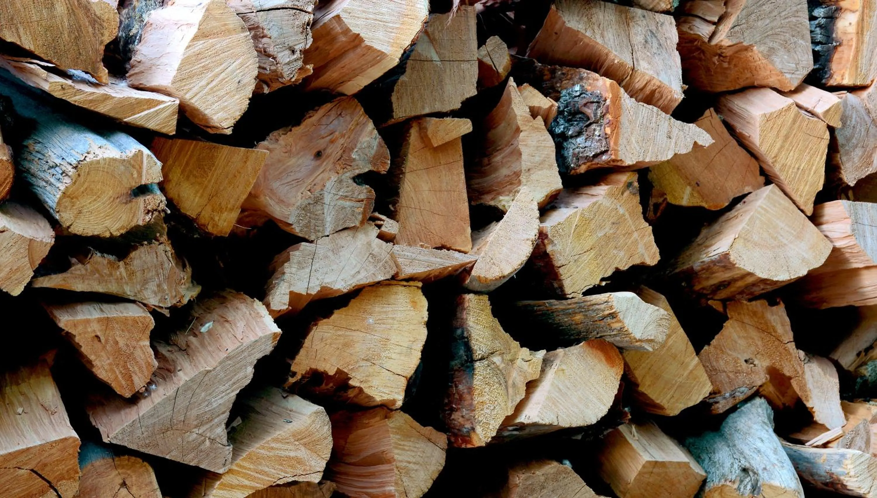 Property building in El Portal Sedona Hotel