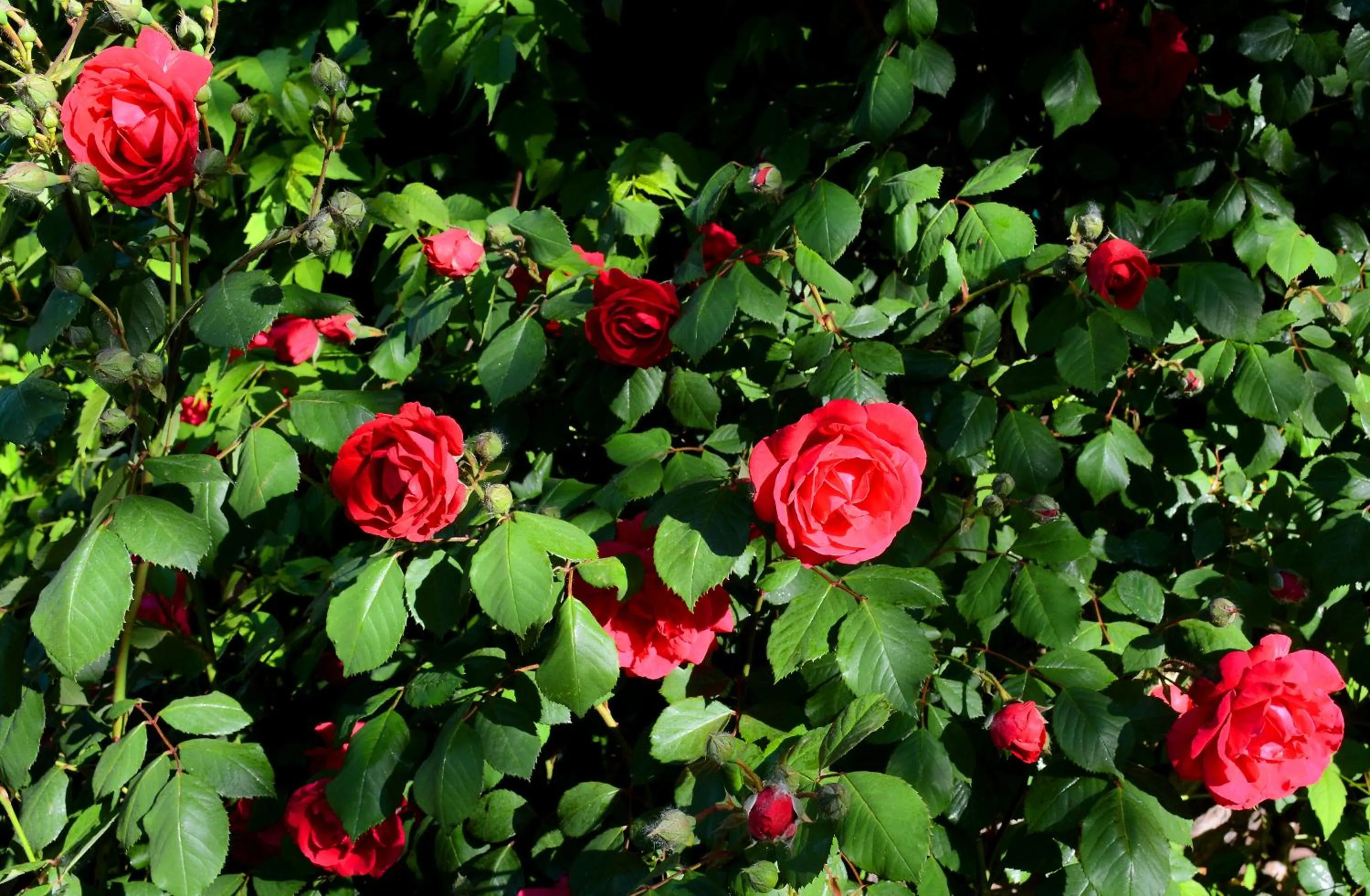 Property building in El Portal Sedona Hotel