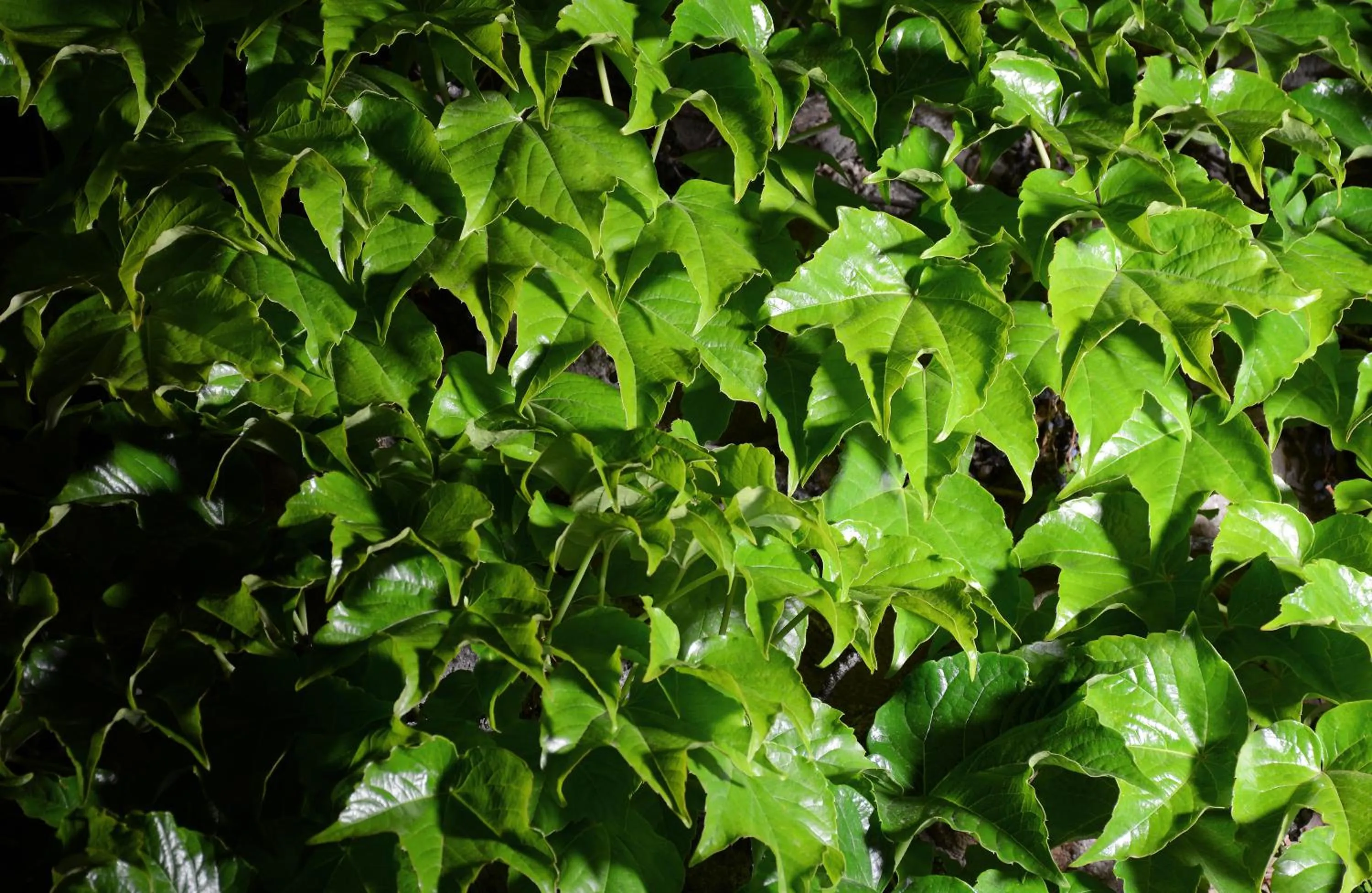 Property building in El Portal Sedona Hotel