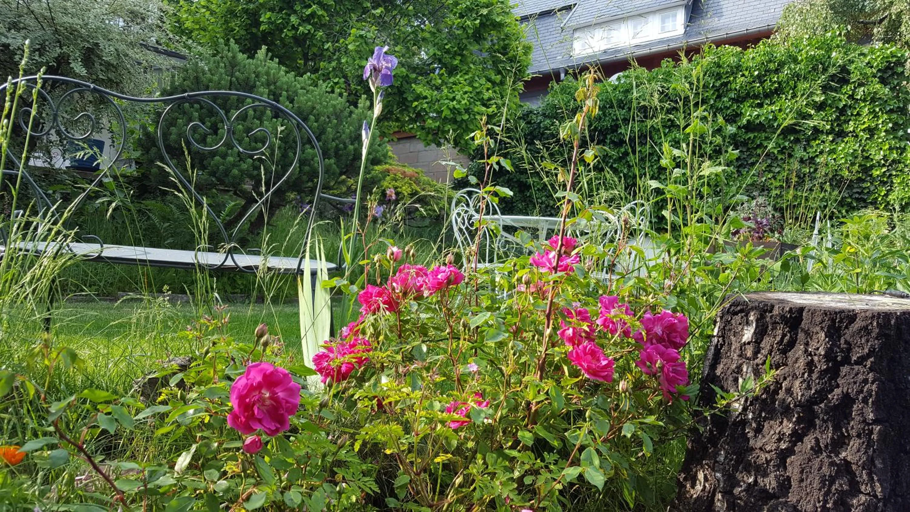 Garden in Les Iris Chambres d’hôte