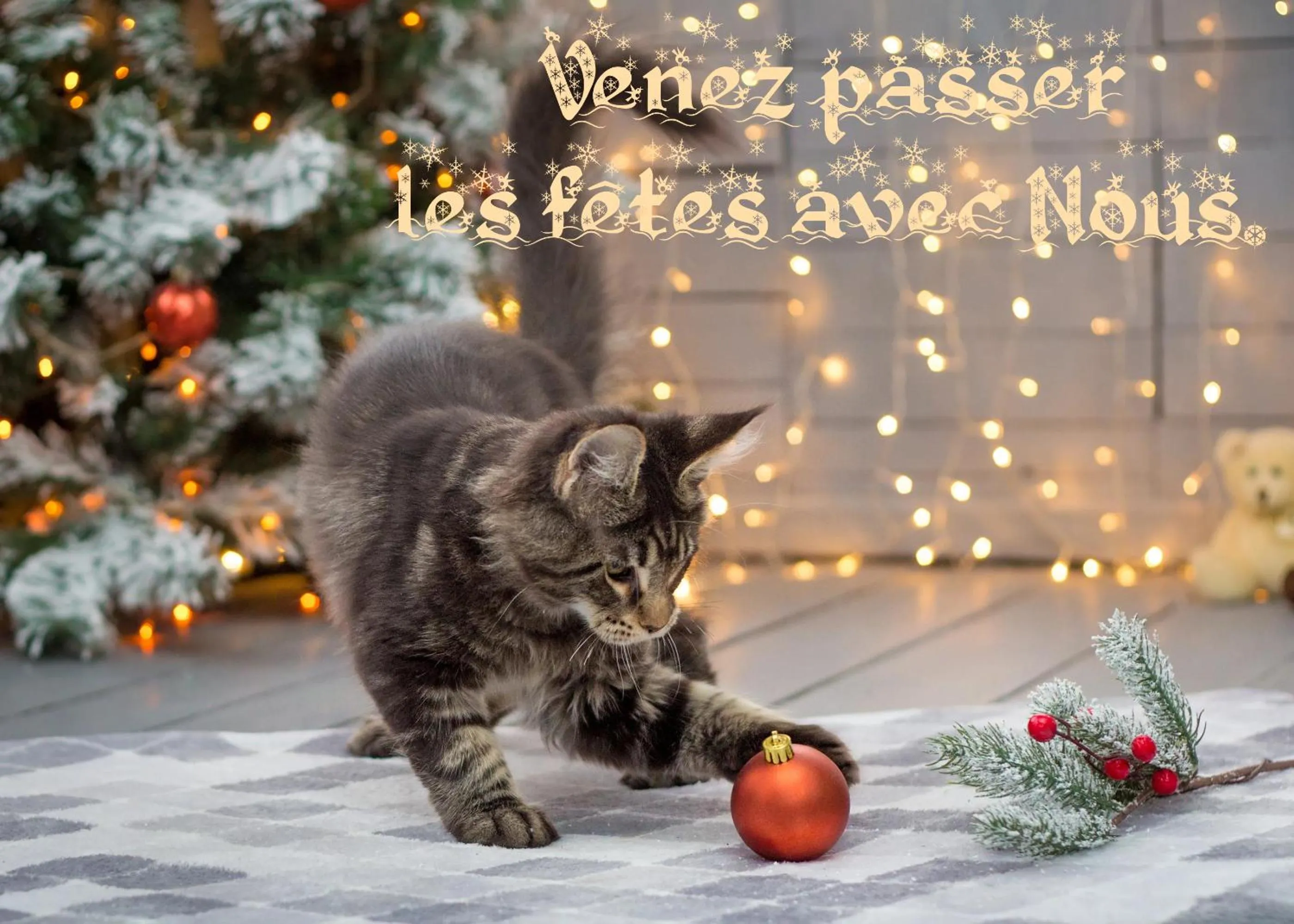 Other in Les Iris Chambres d’hôte