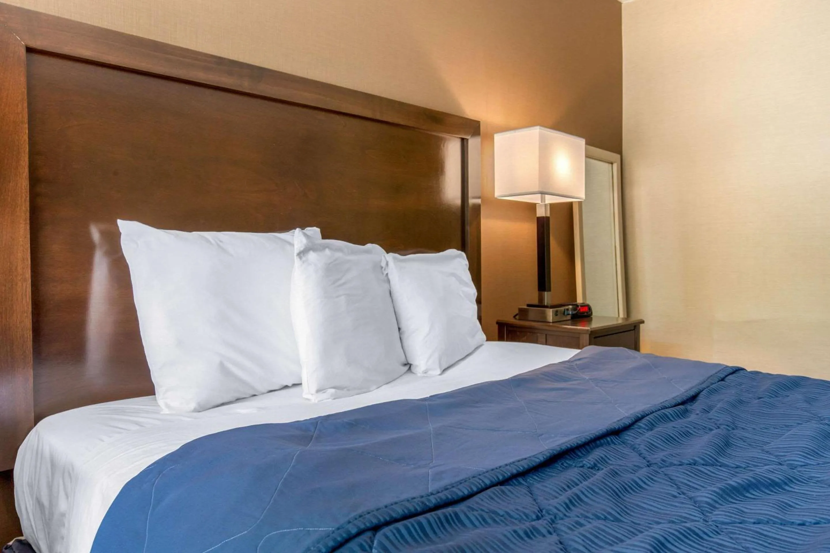 Photo of the whole room, Bed in Rodeway Inn