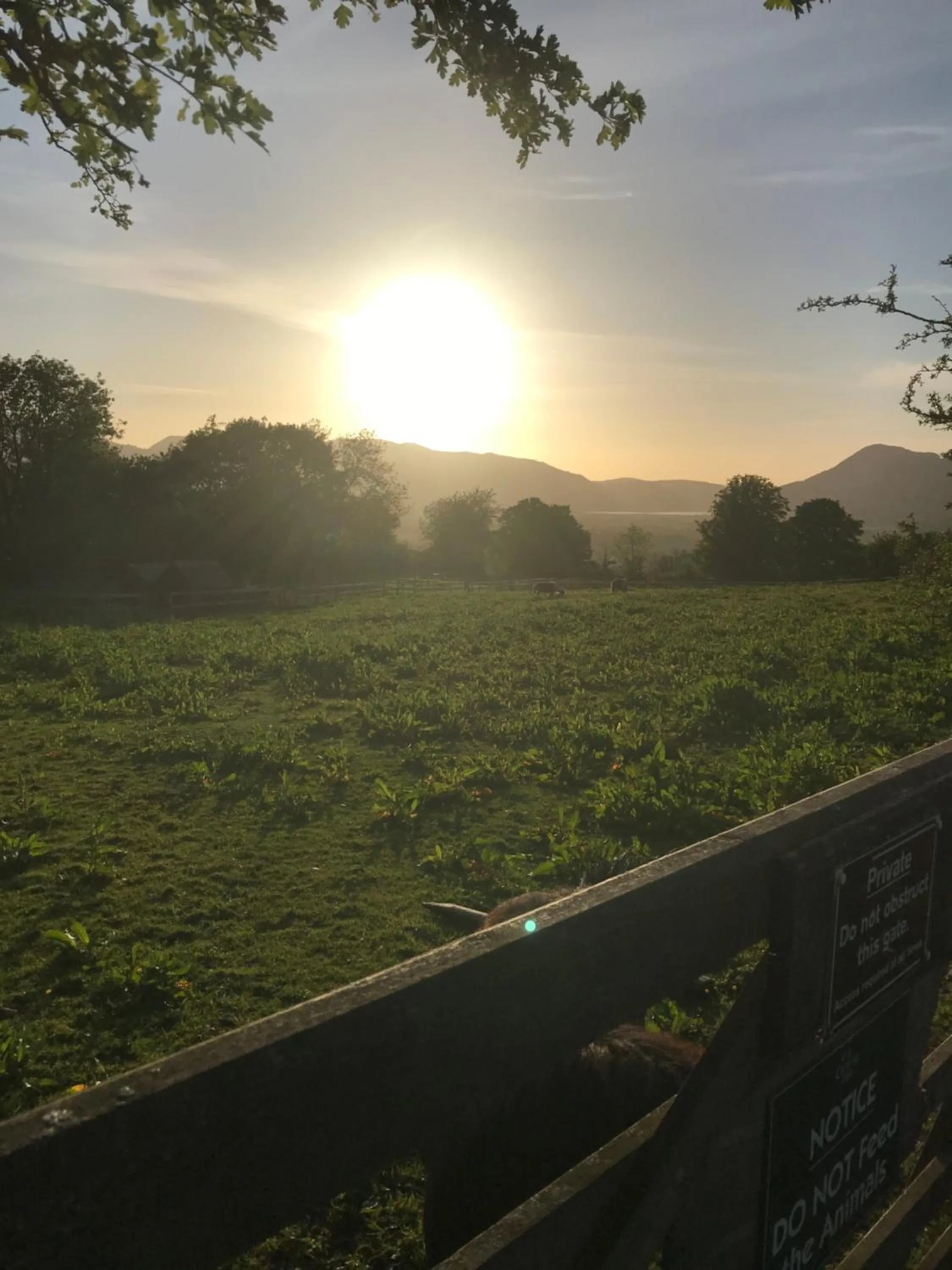 Claremont House Keswick