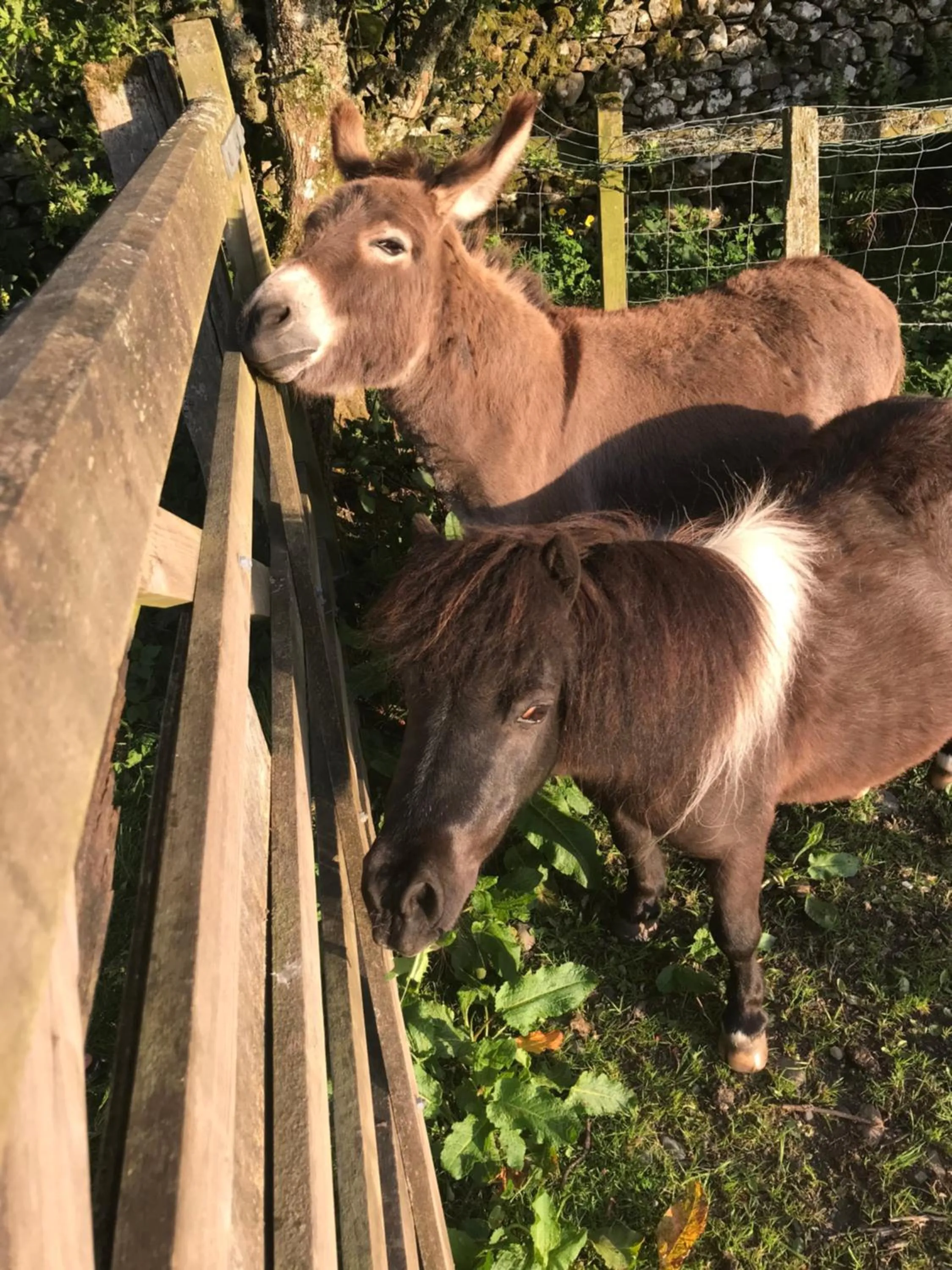 Claremont House Keswick