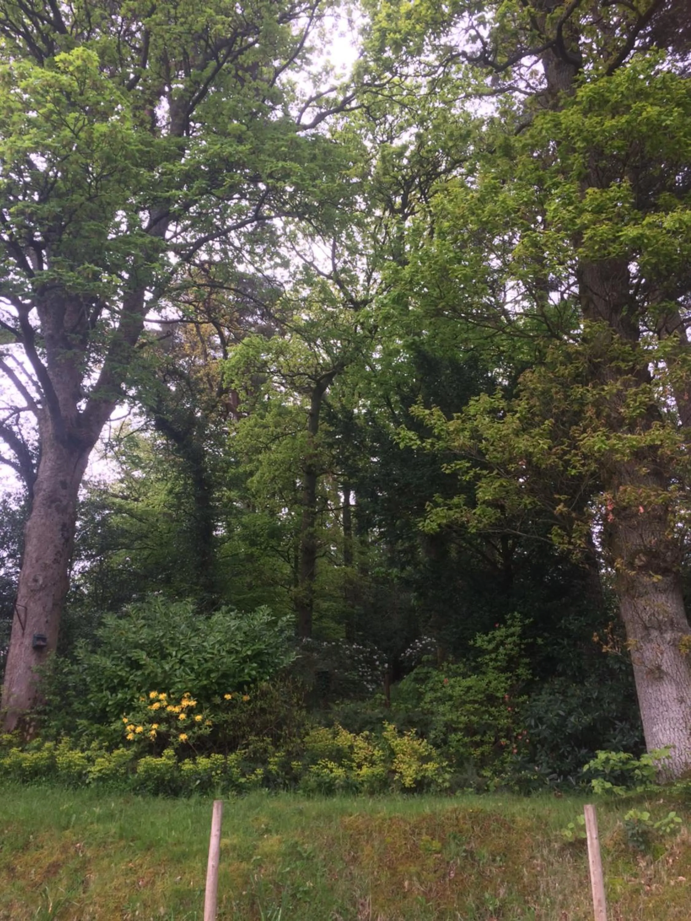 Activities in Claremont House Keswick