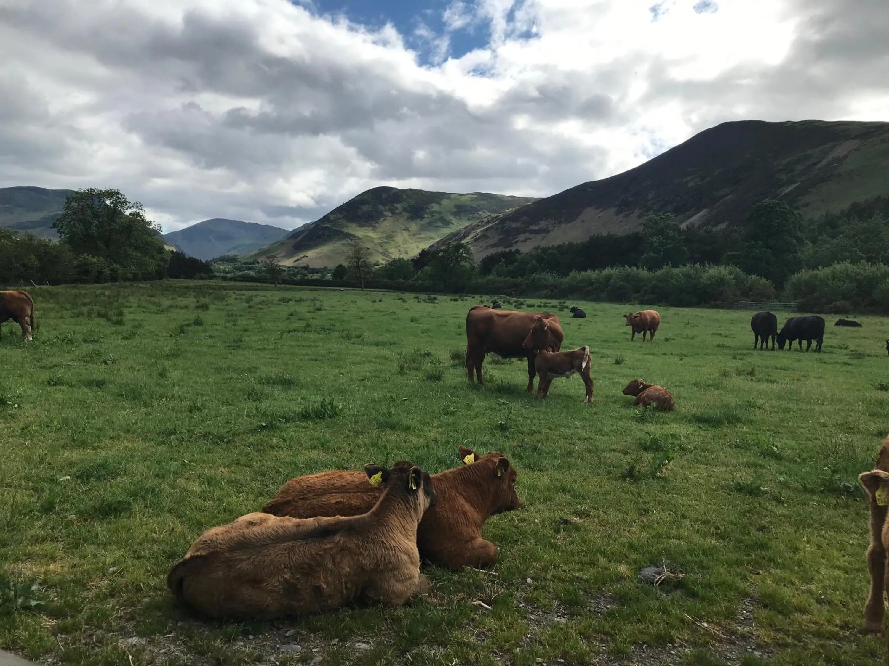 Claremont House Keswick