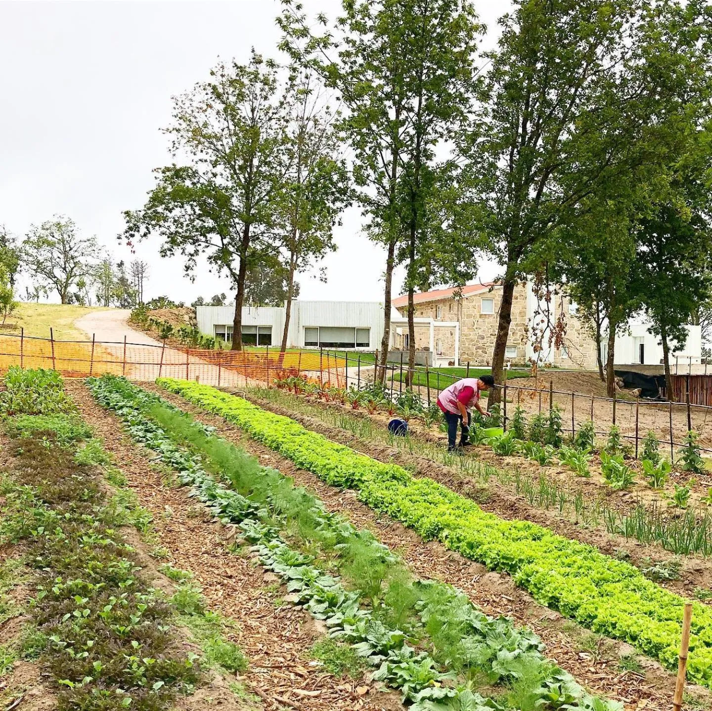 People in Hotel Nande