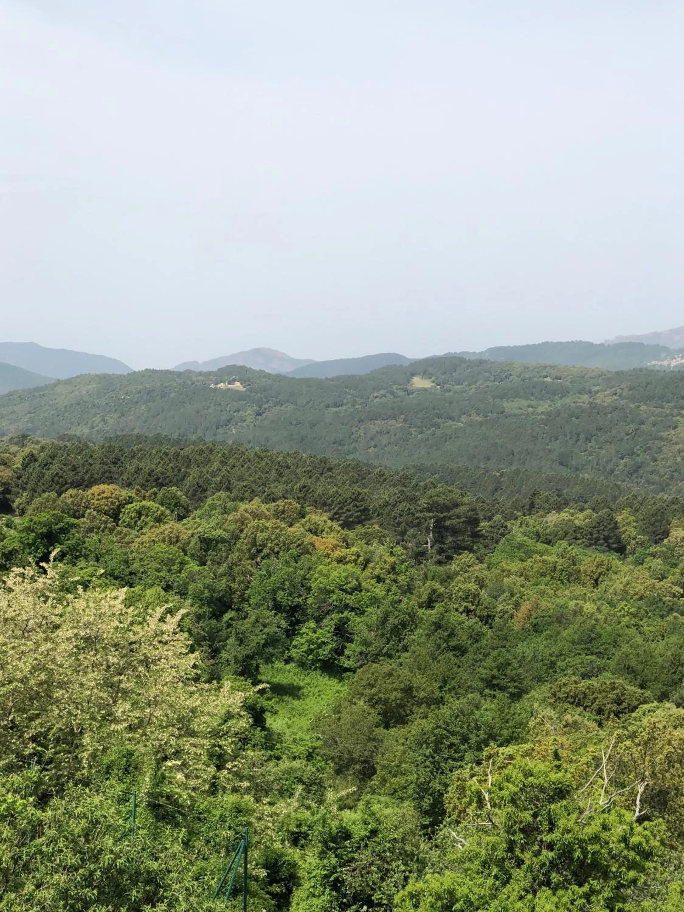 Natural landscape in A Fontana