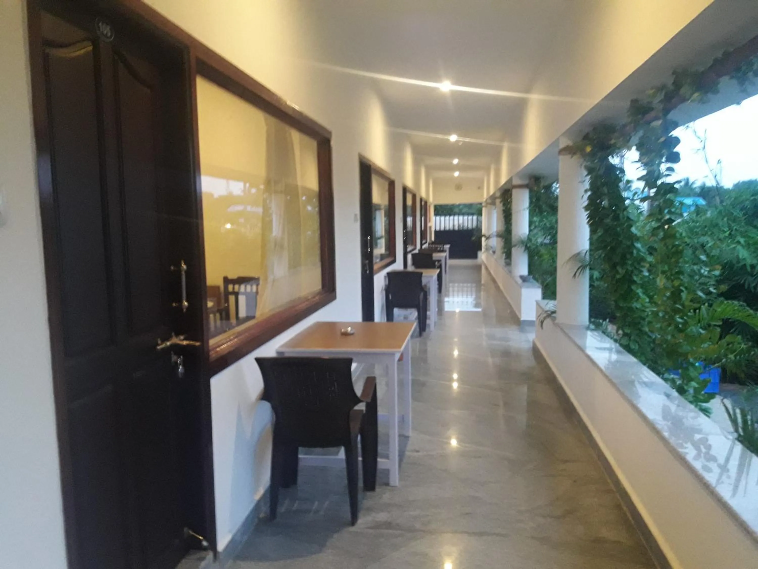 Alice Paradise by Moonrakers