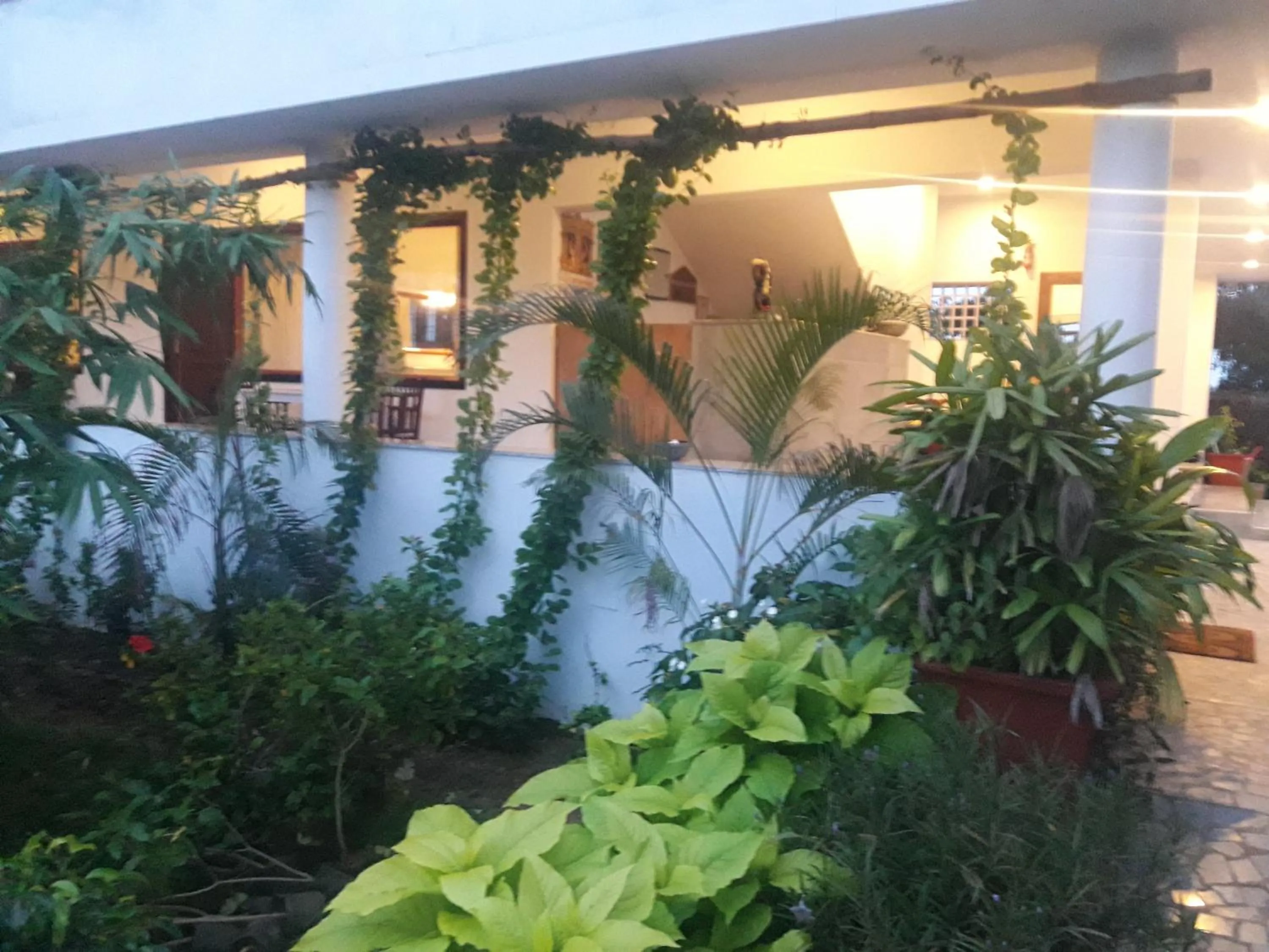 Alice Paradise by Moonrakers