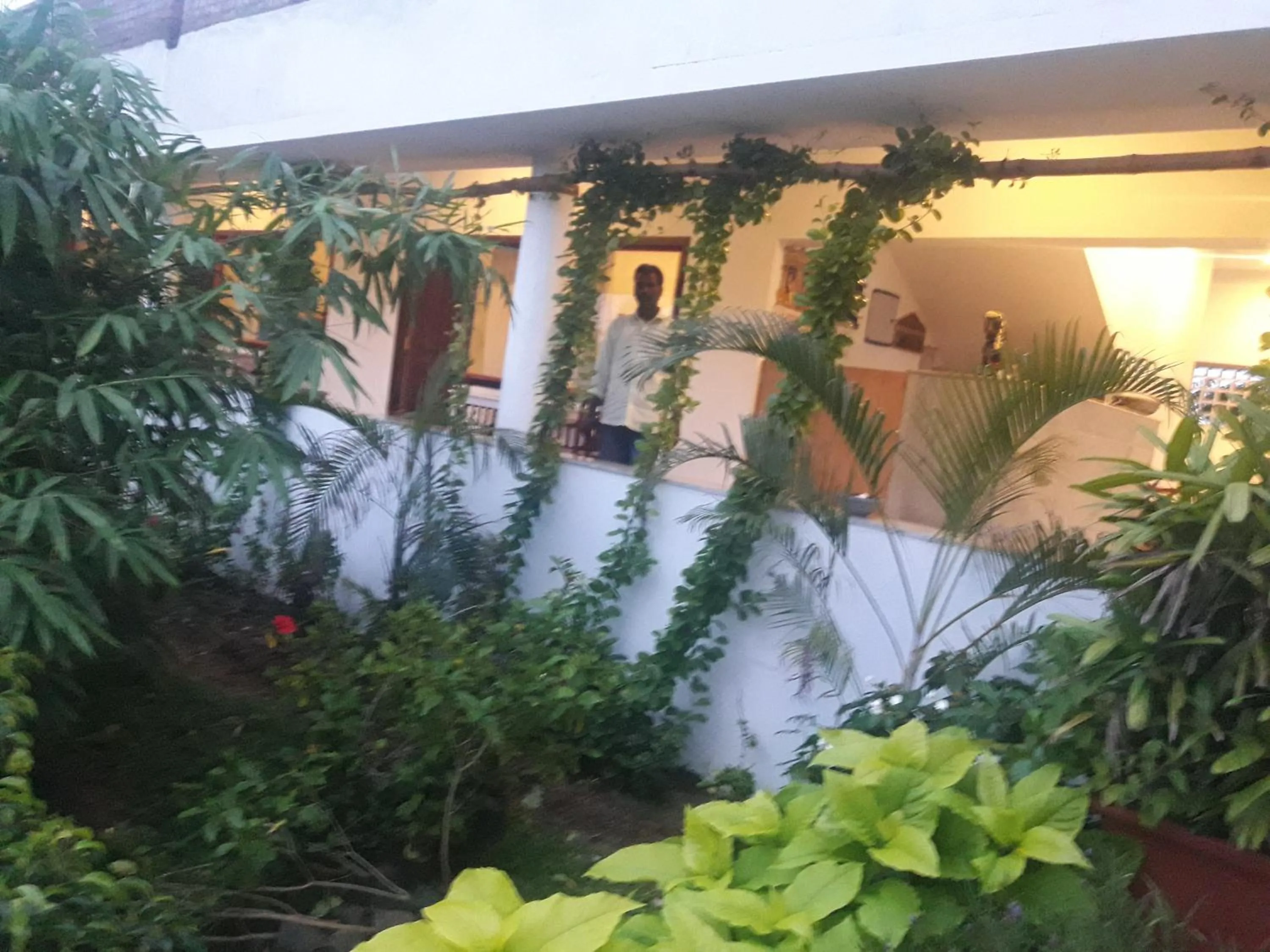 Alice Paradise by Moonrakers