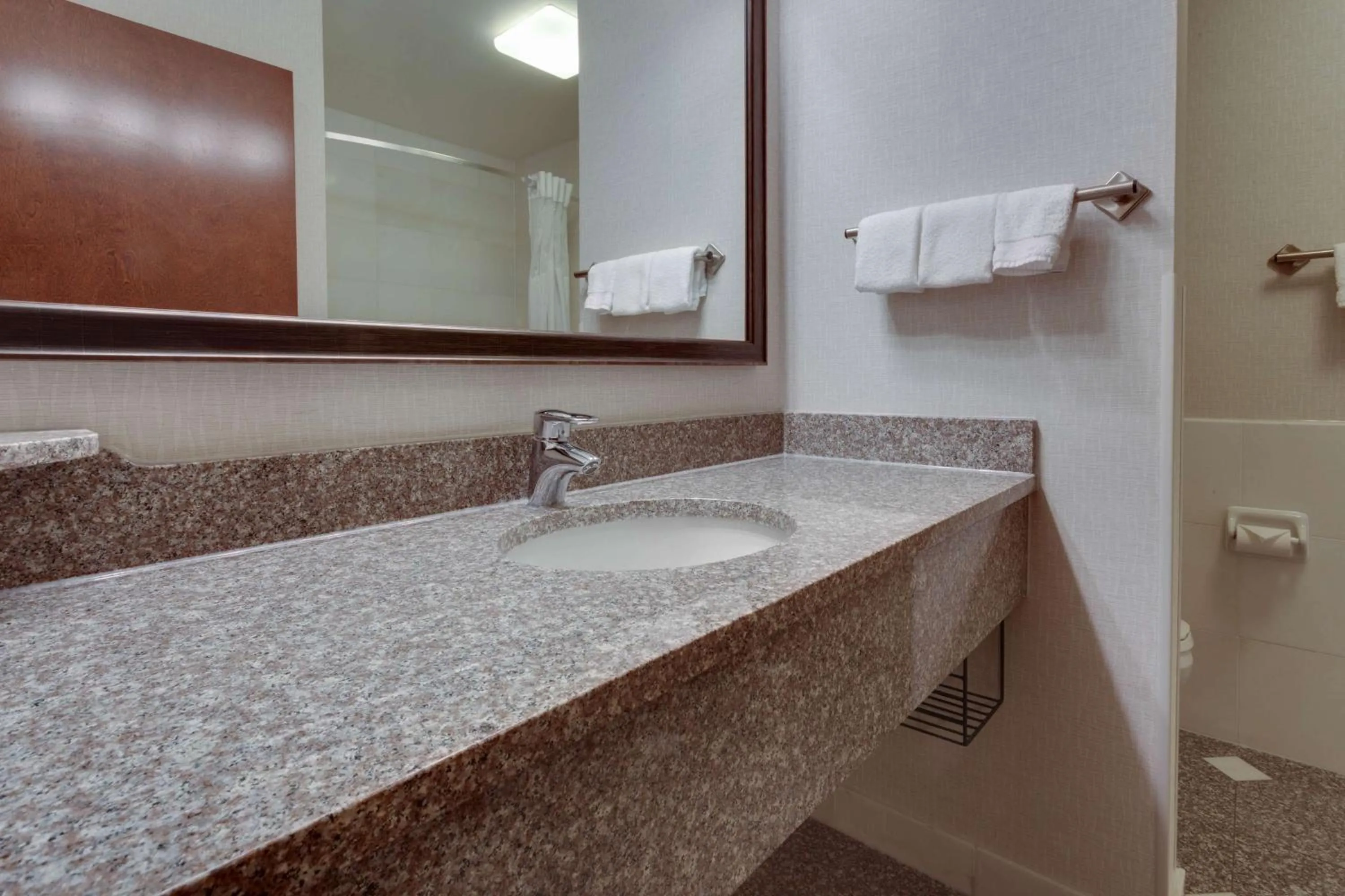 Bathroom in Drury Inn & Suites St. Louis Forest Park