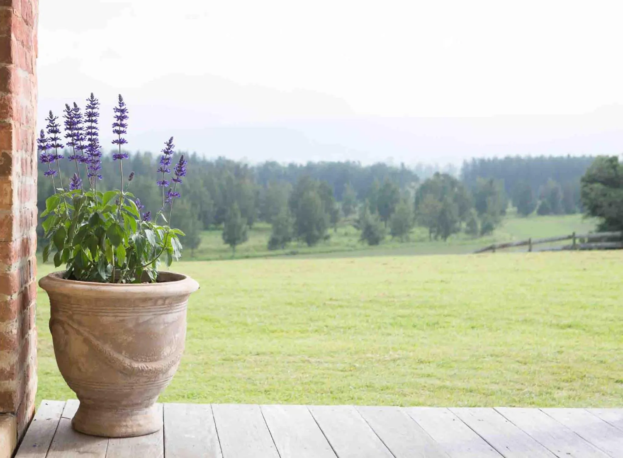 Natural landscape in The Barracks, Tocal