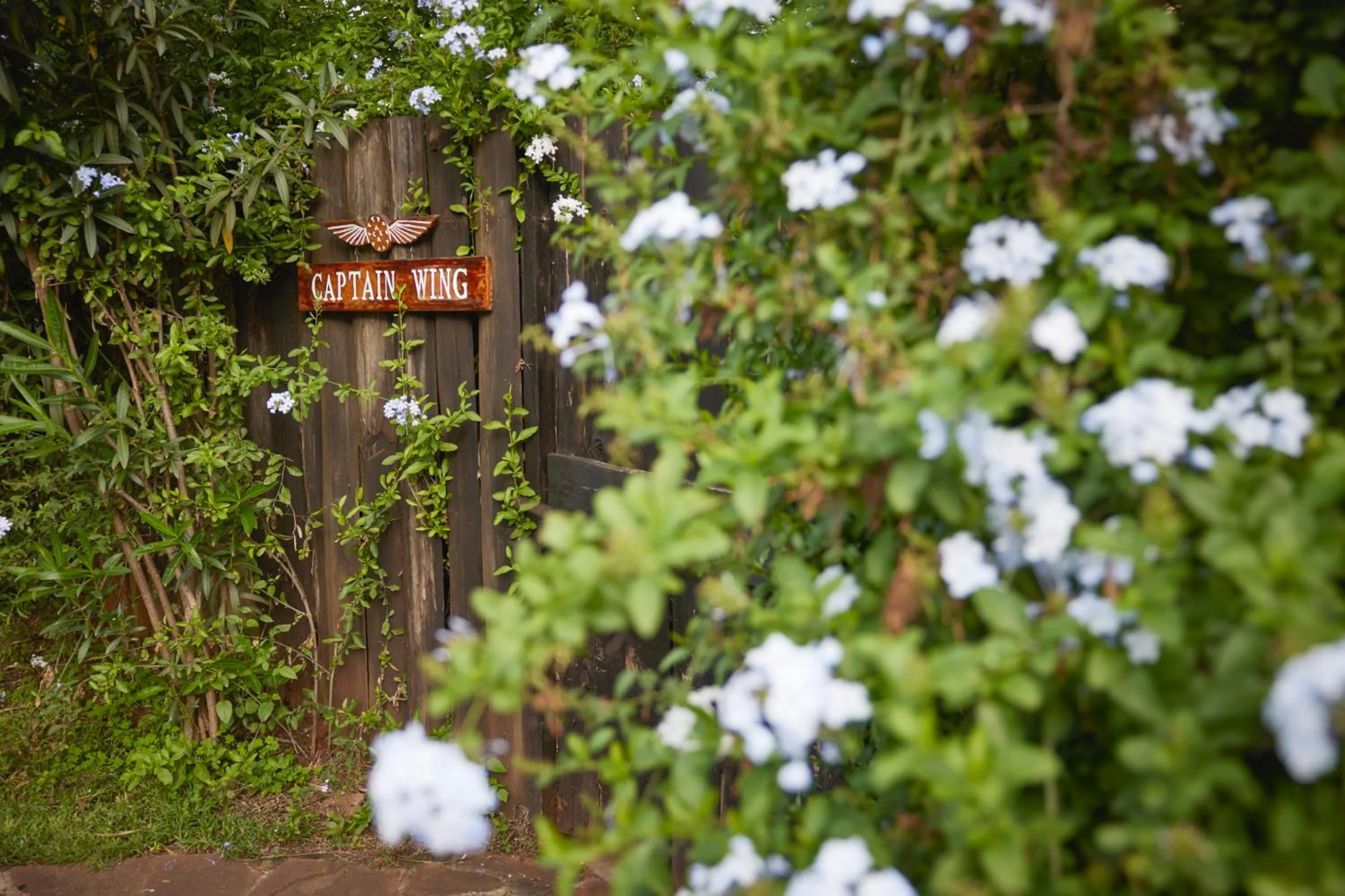 Natural landscape in Aero Club of East Africa