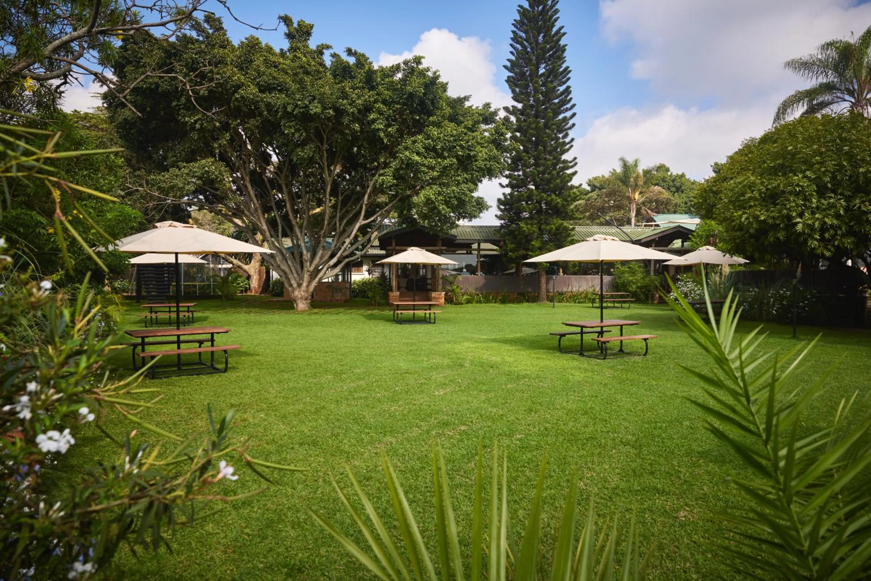 Natural landscape in Aero Club of East Africa