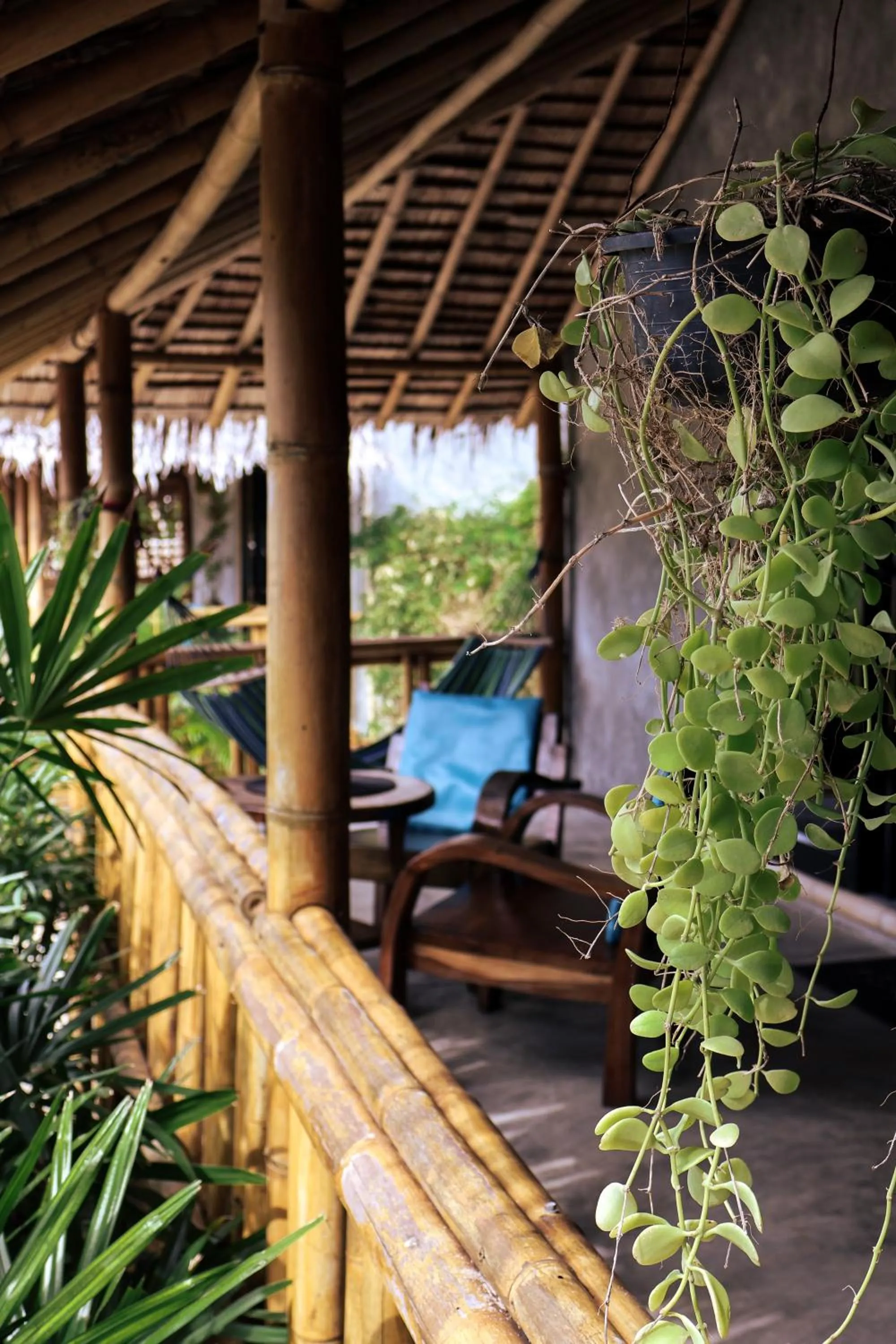Balcony/Terrace in The Lazy Lodge