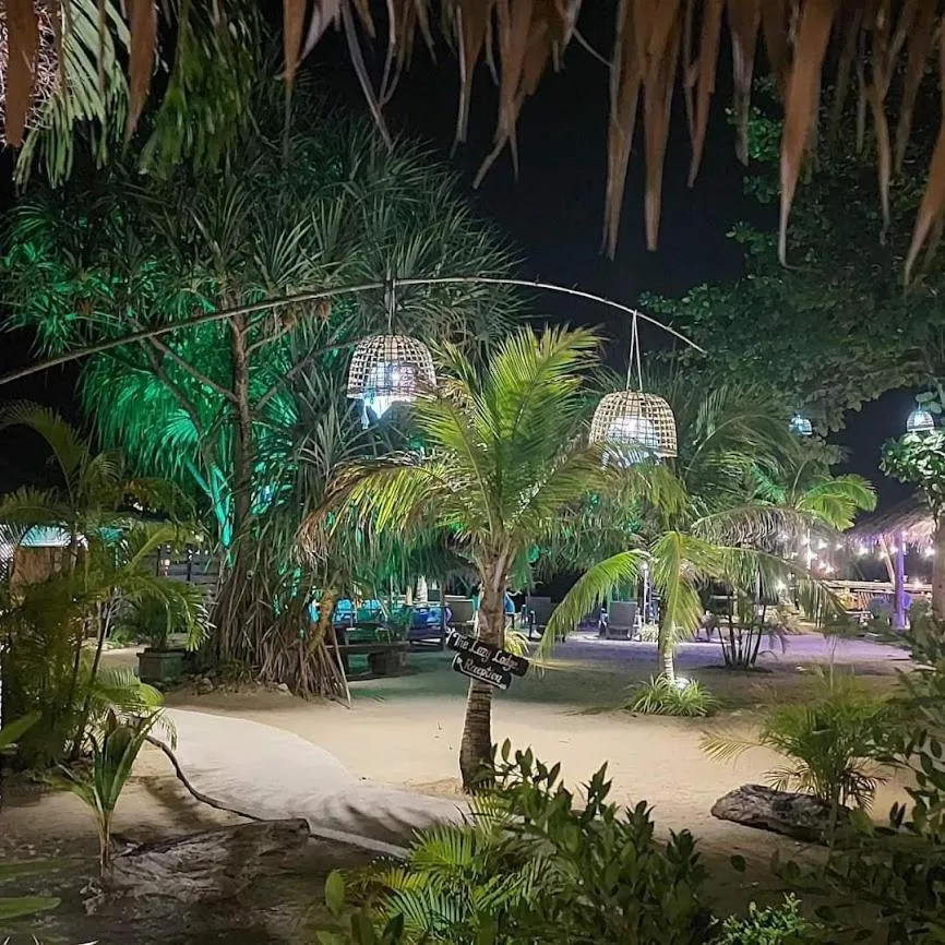 Night in The Lazy Lodge