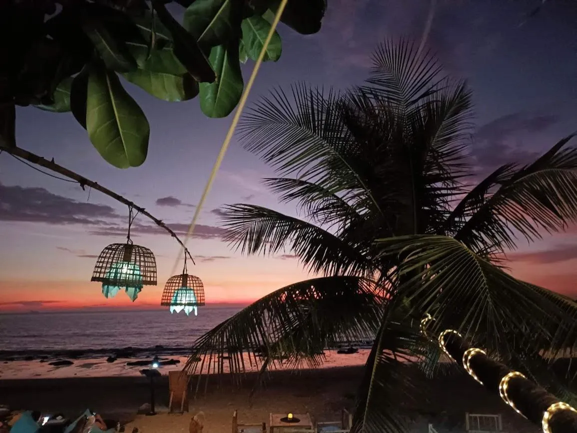 Night in The Lazy Lodge