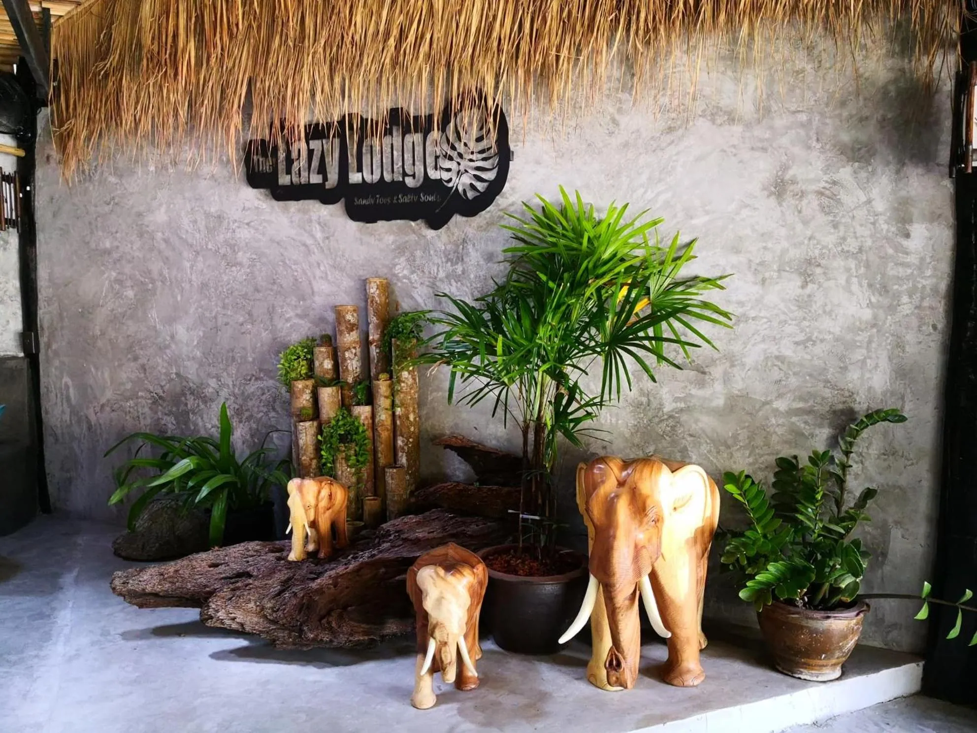 Restaurant/places to eat in The Lazy Lodge