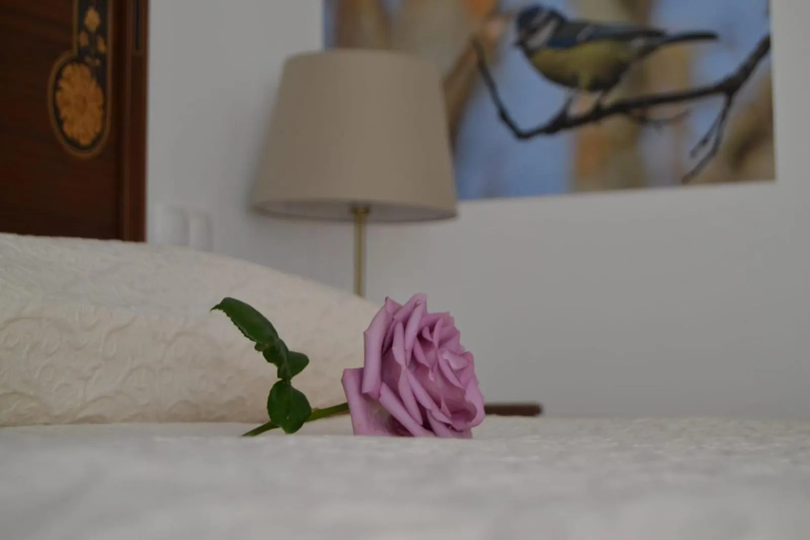 Bedroom, Bed in Monte da Floresta B&B