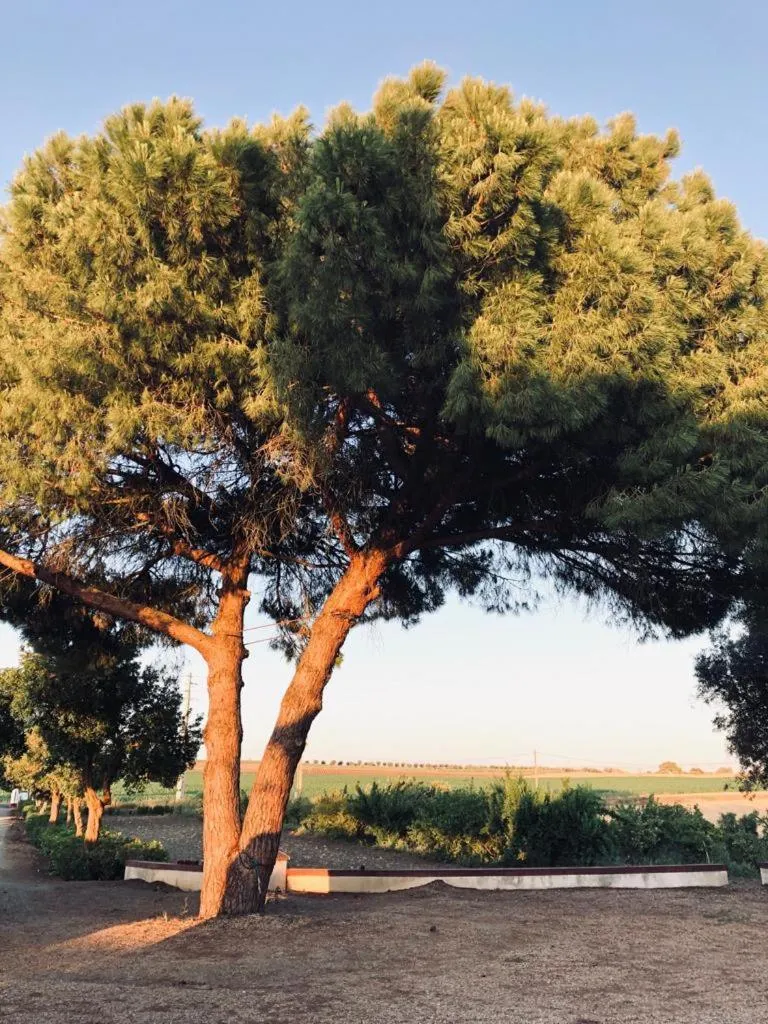 Monte da Floresta B&B