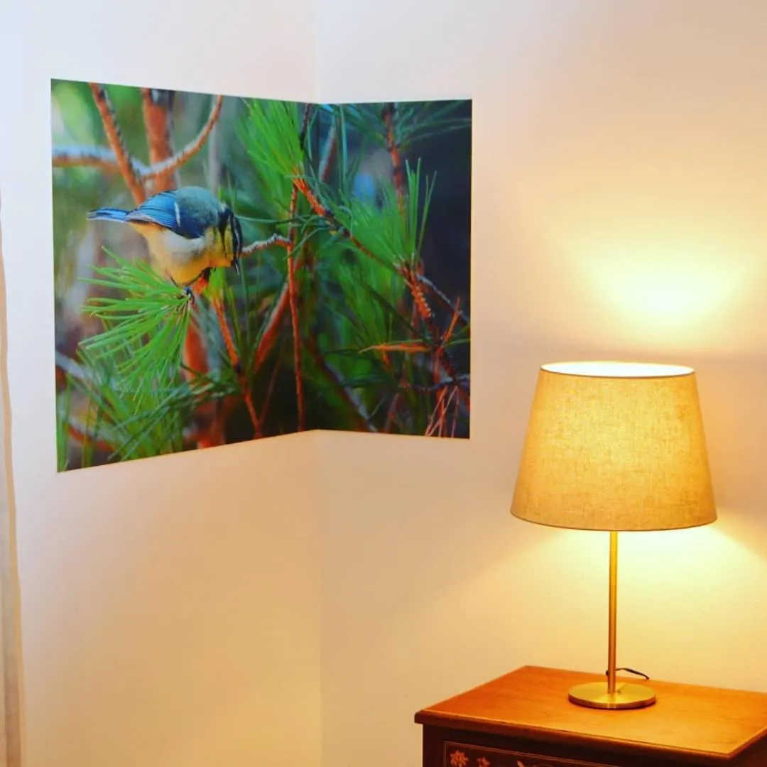 Monte da Floresta B&B