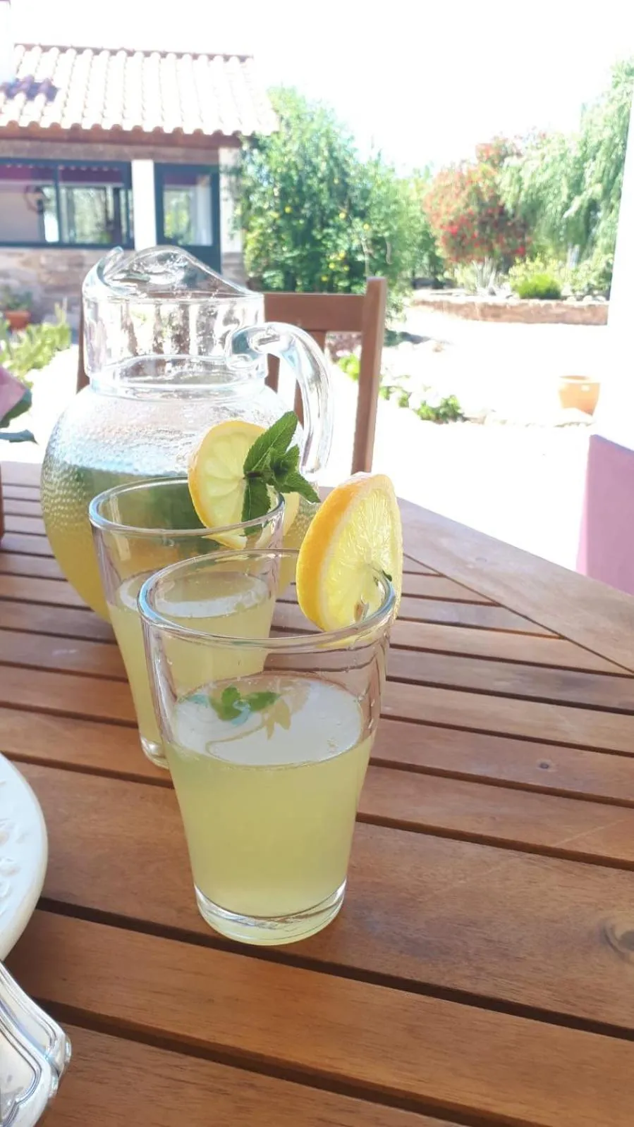 Patio in Monte da Floresta B&B