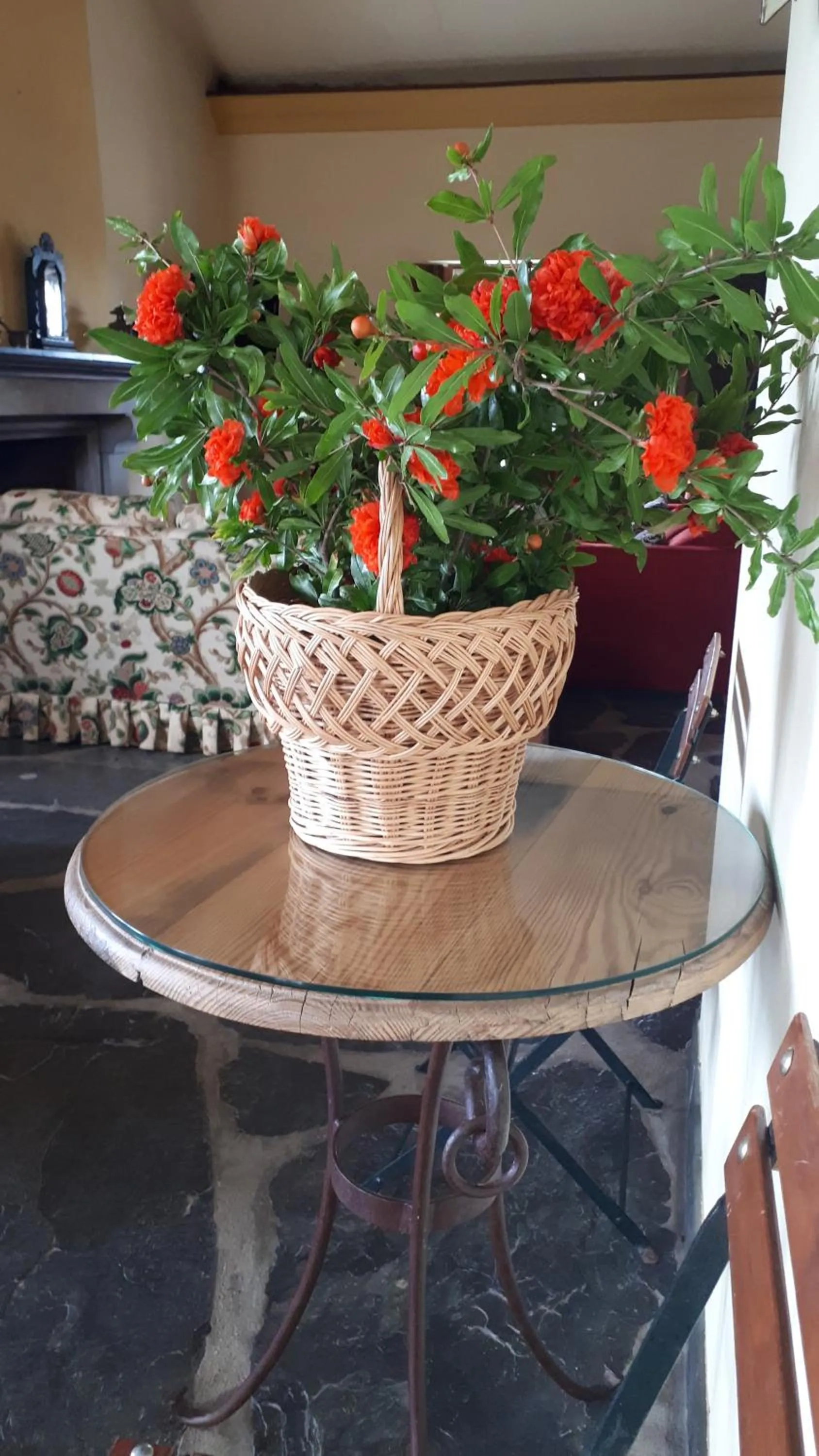 Monte da Floresta B&B