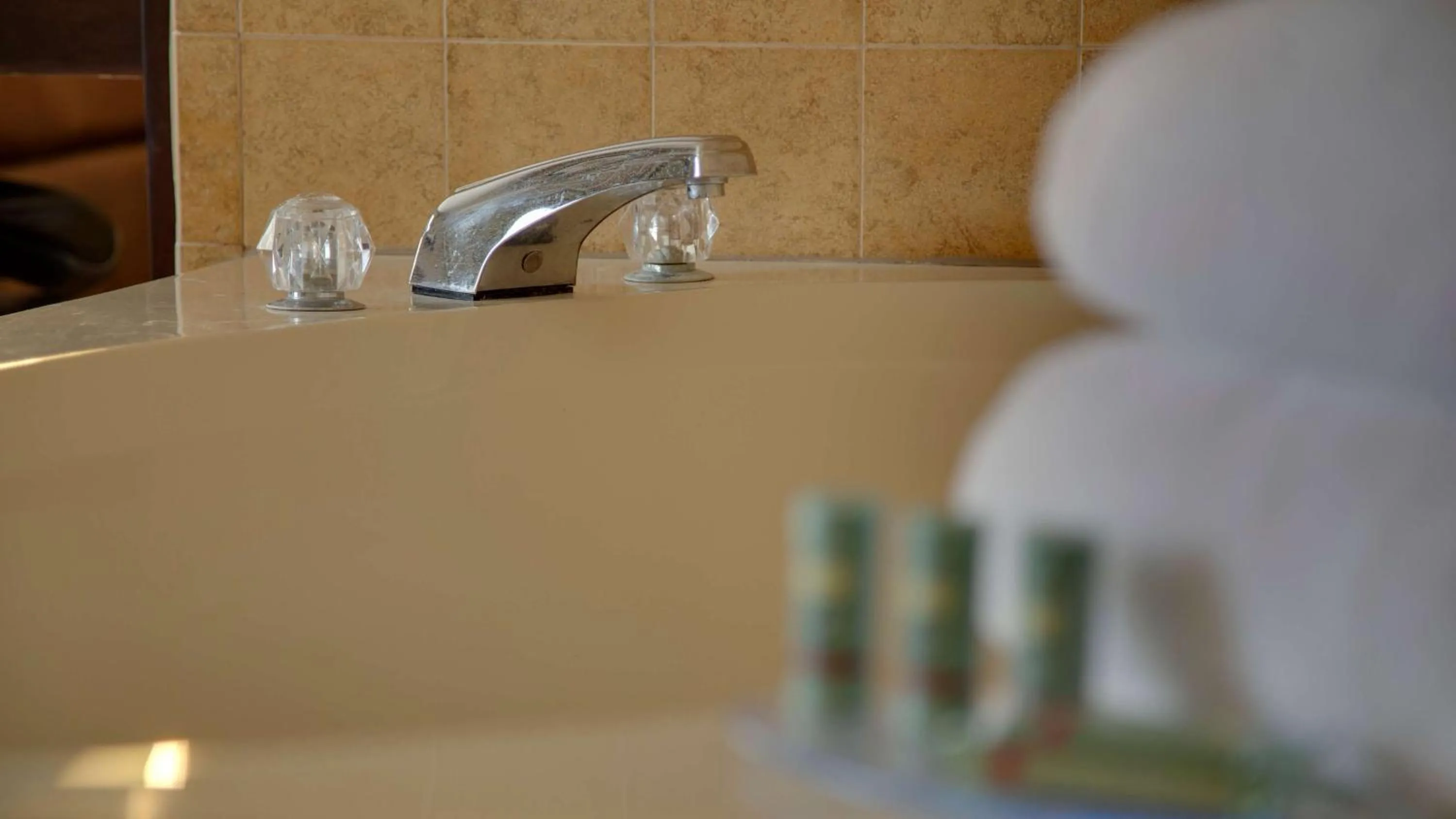 Bathroom in Best Western Pontiac Inn