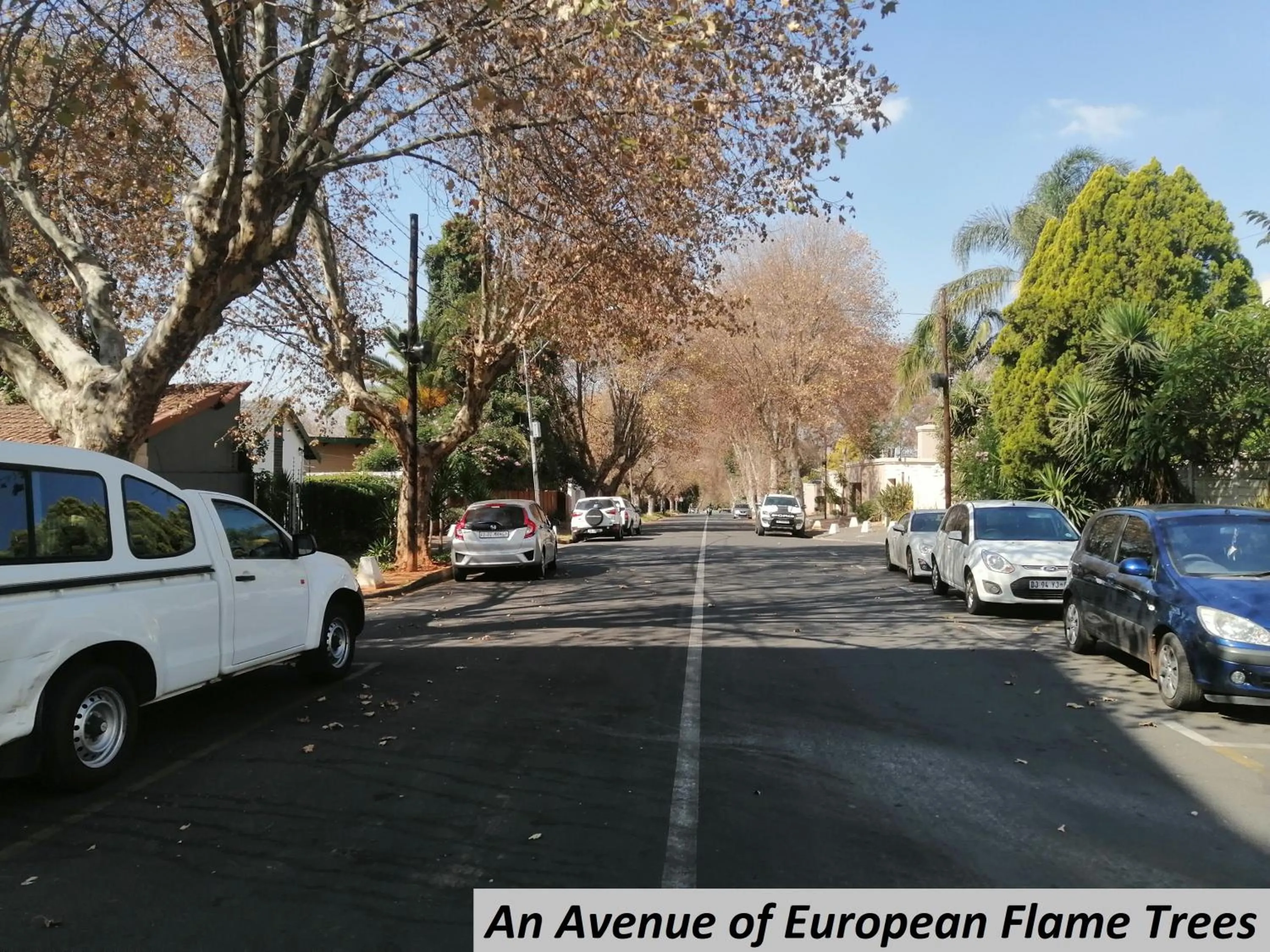 Neighbourhood in Charlie's Spot - Norwood