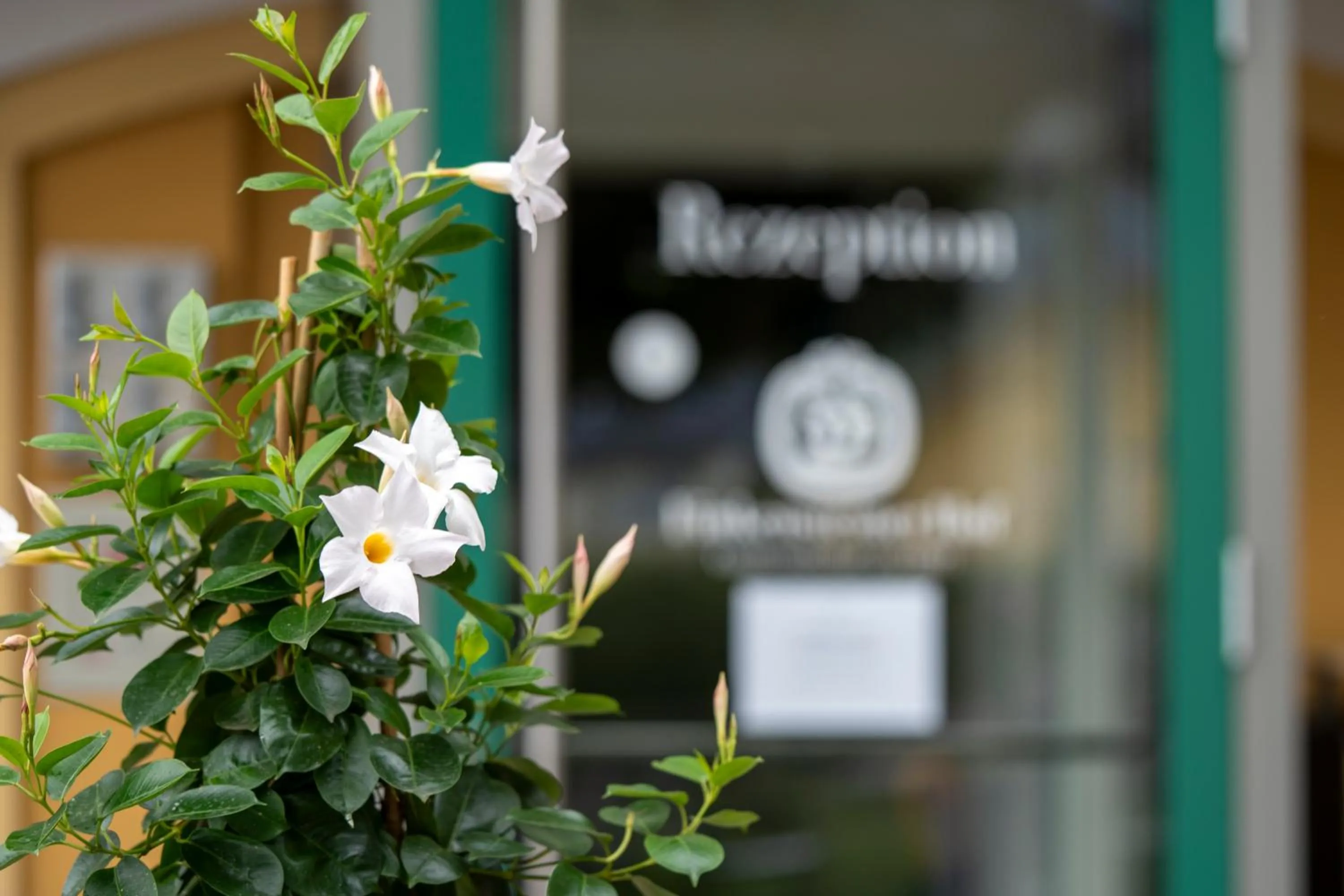 Property building in Finkensteiner Hof