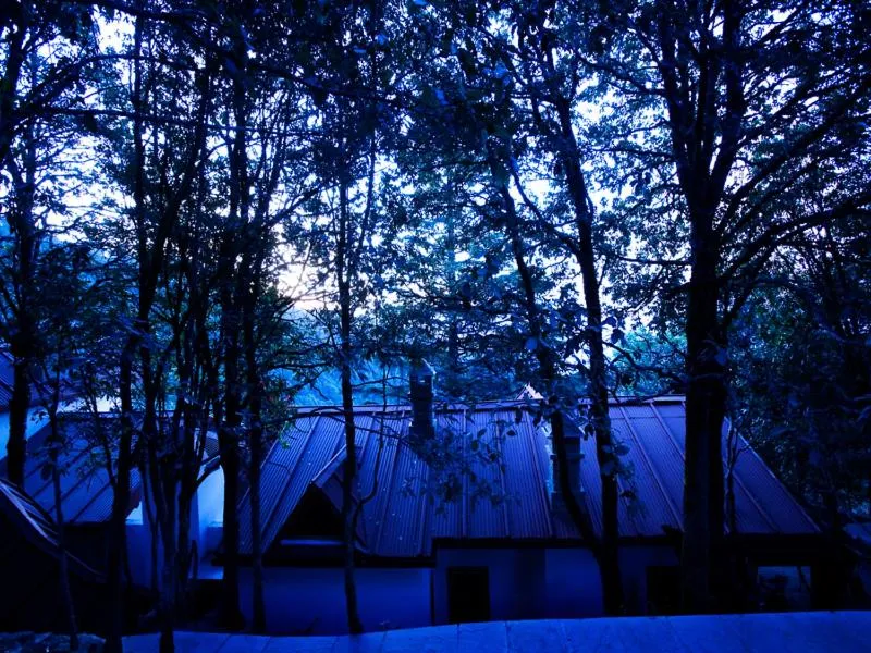 Property building in Mary Budden Estate