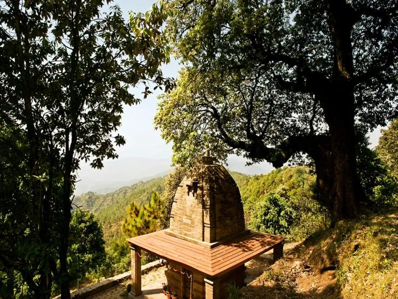 Garden view in Mary Budden Estate