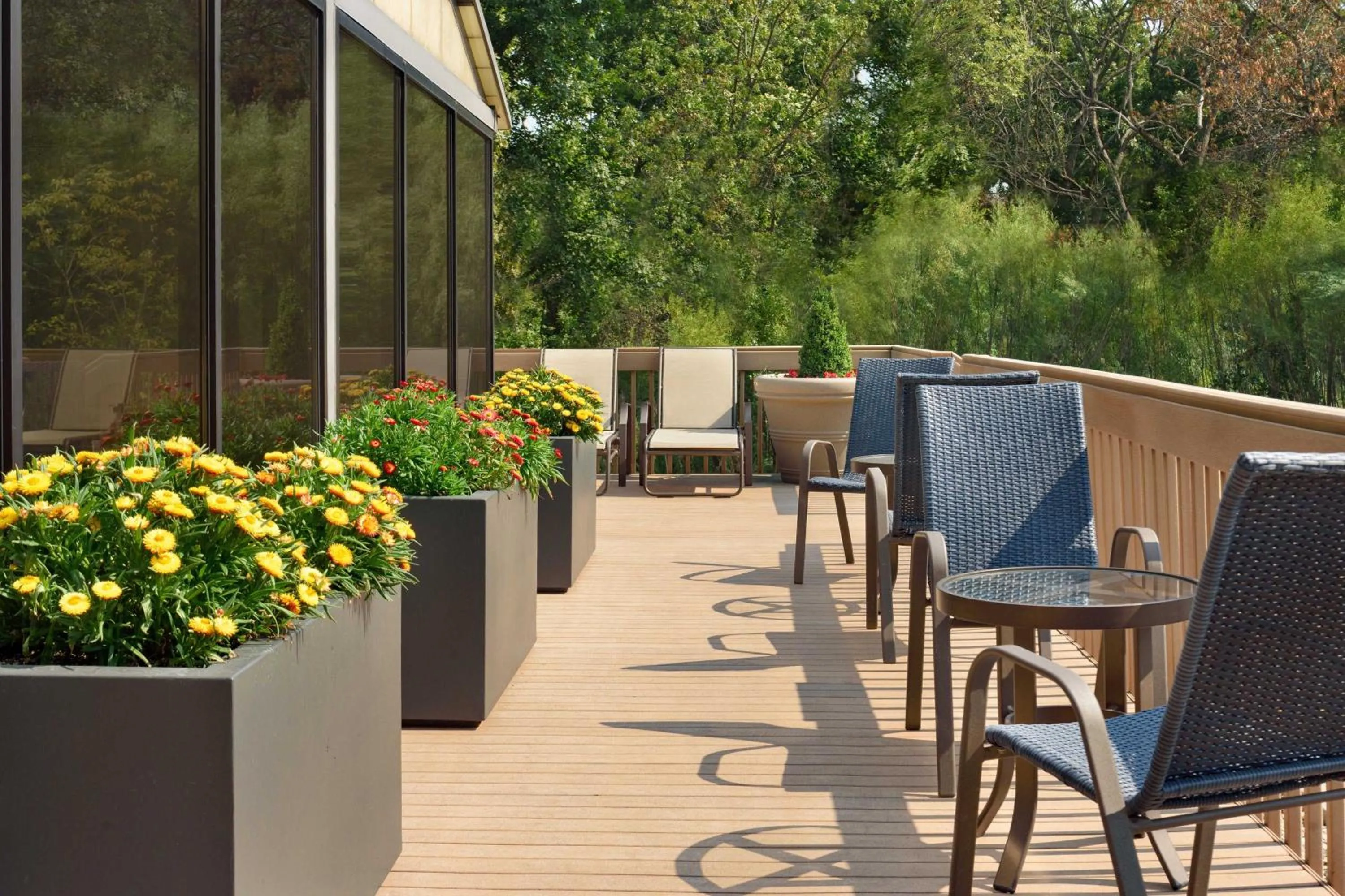 Swimming pool in Sheraton Madison Hotel