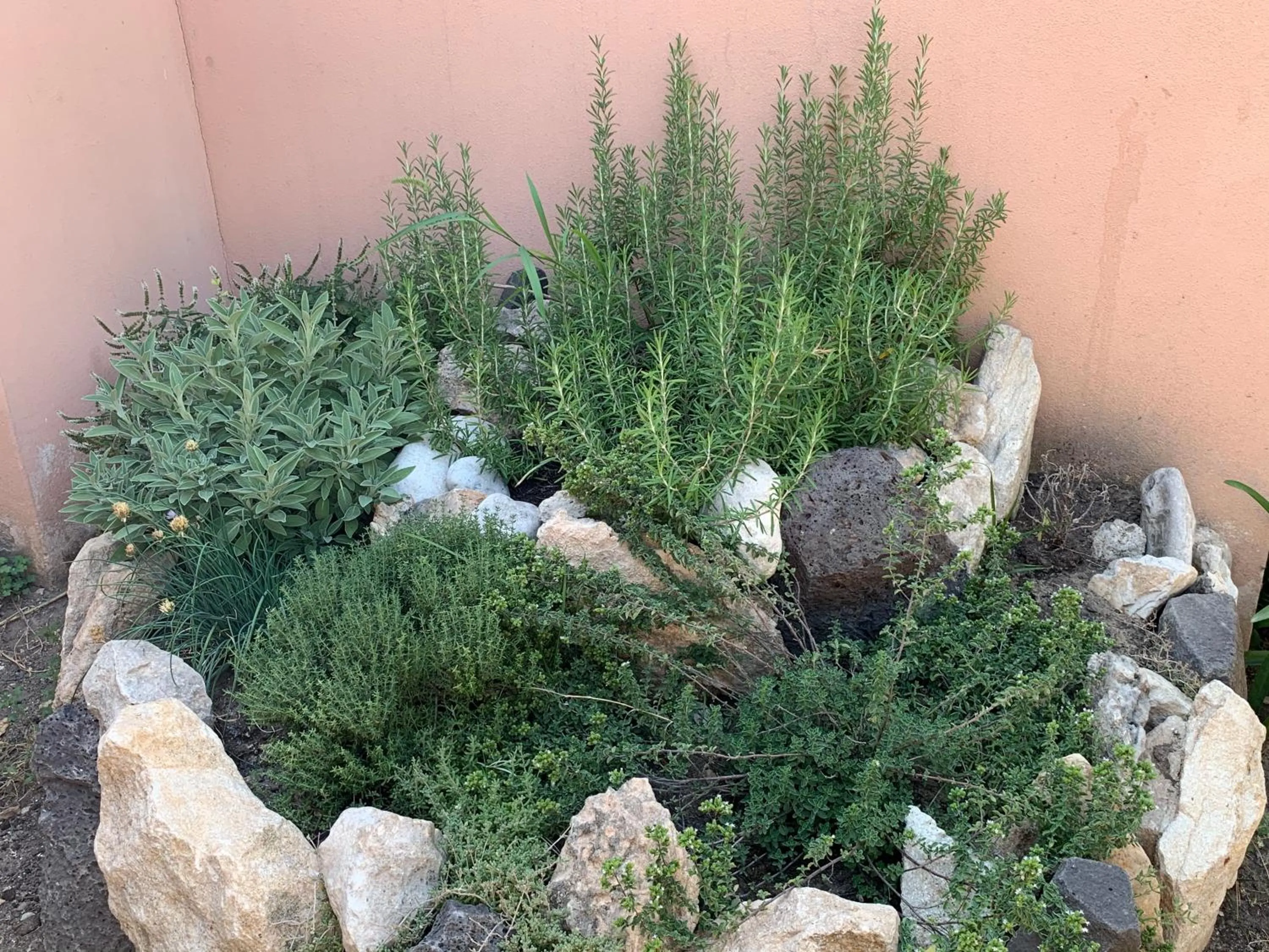 Selene Domus Collection